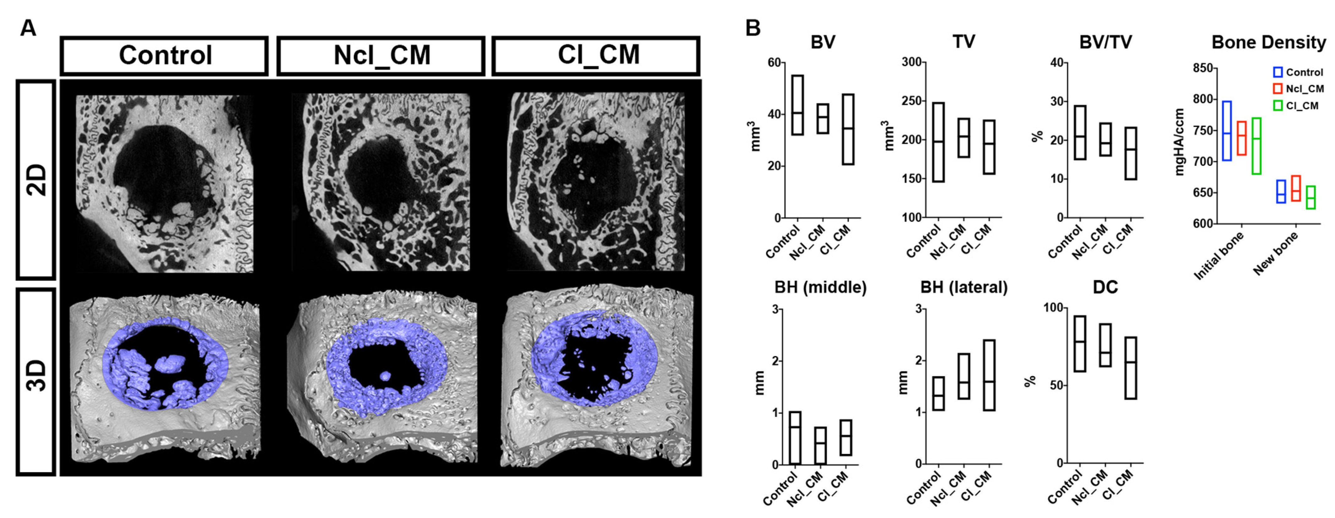 Materials 14 03740 g004