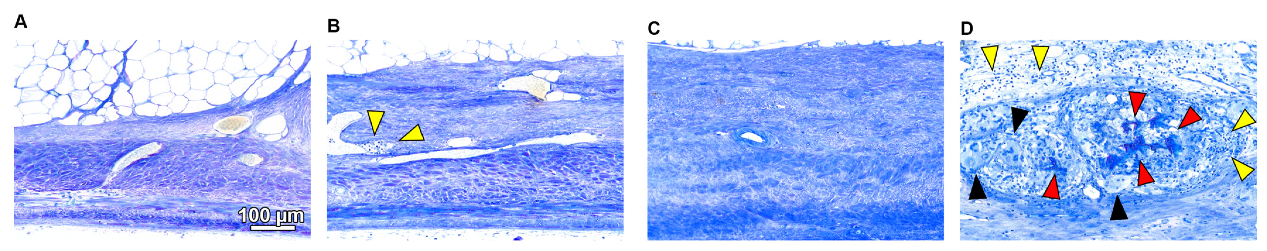 Materials 14 03740 g006