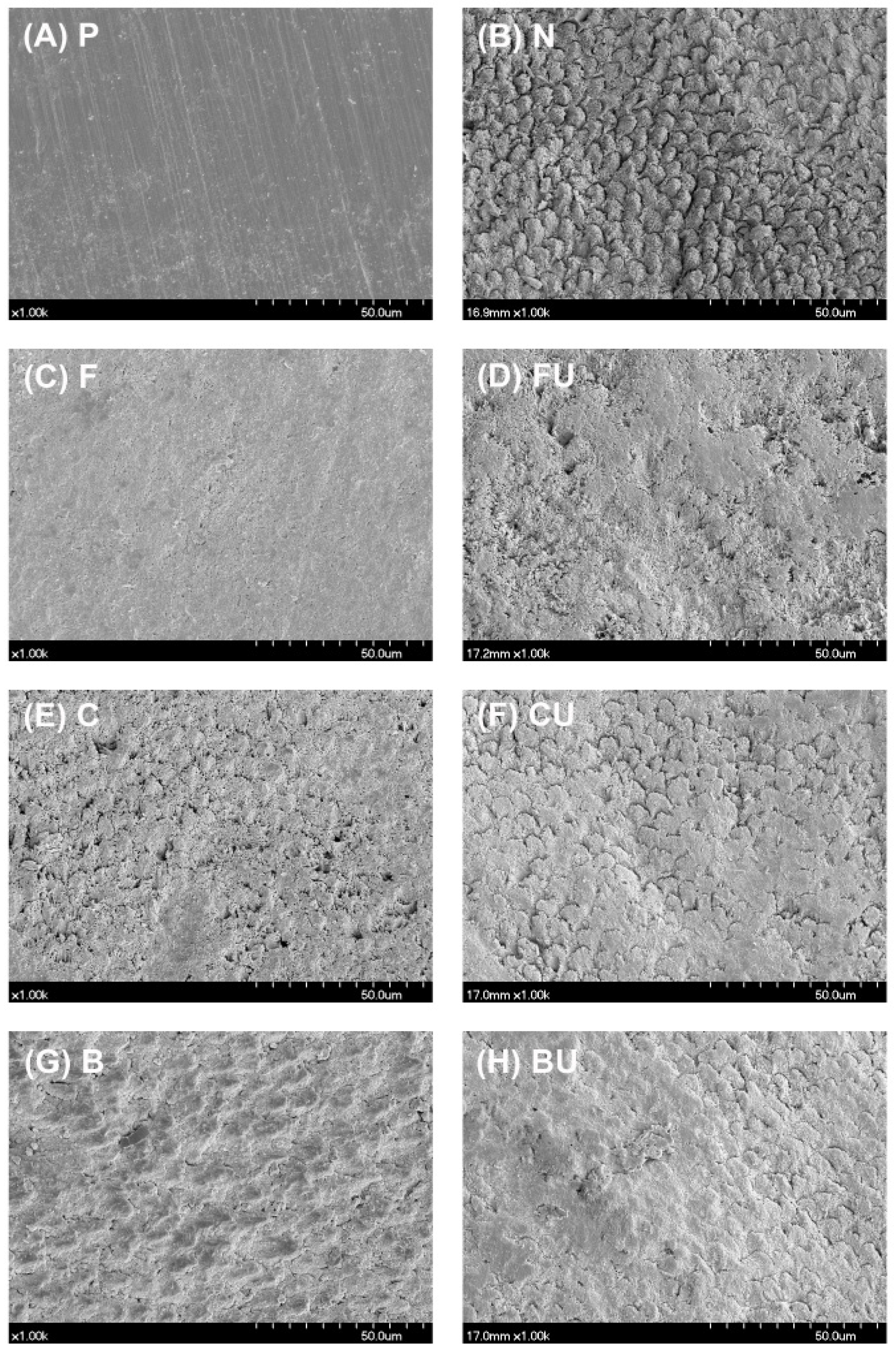 Materials 14 03745 g003