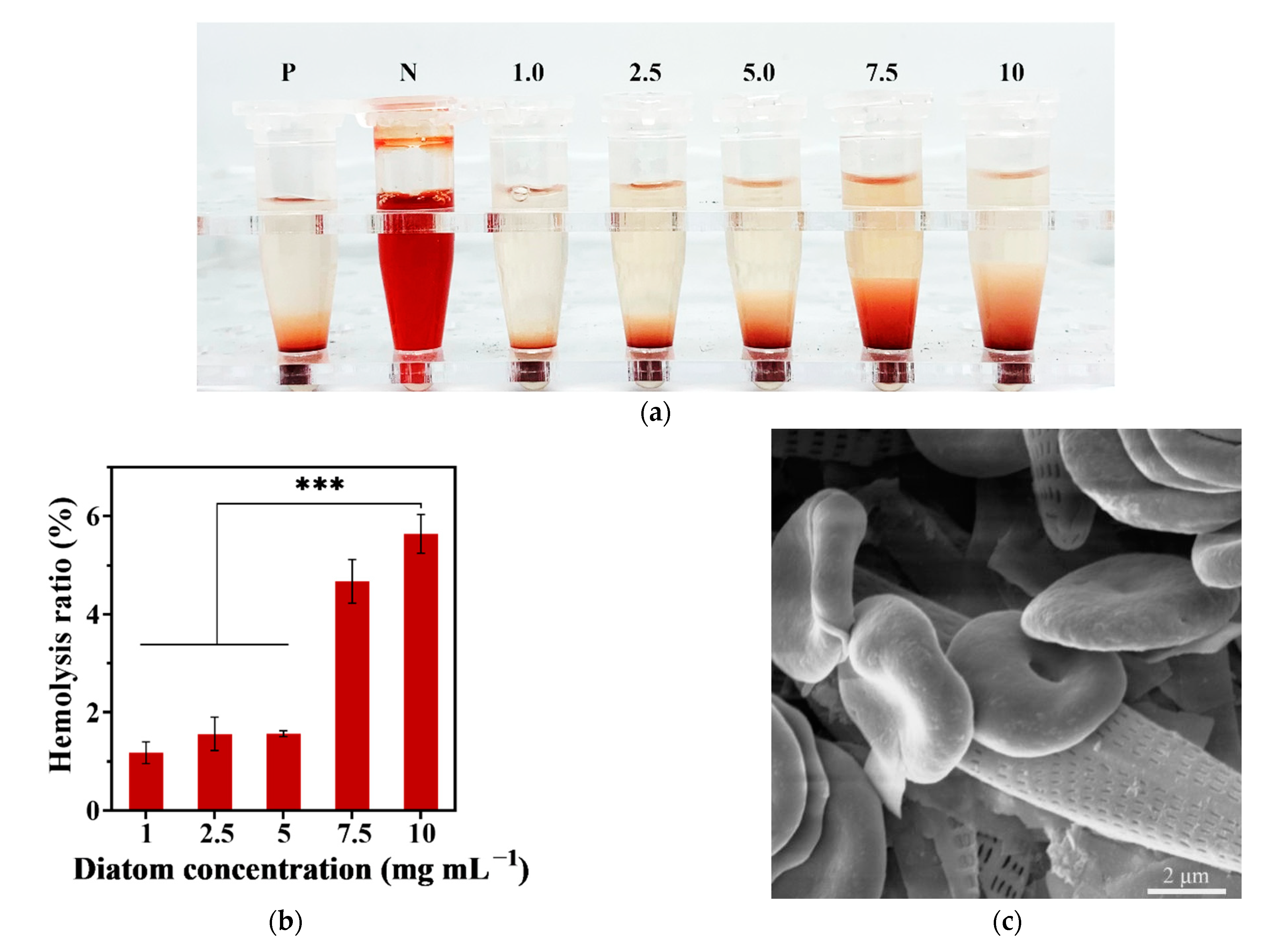 Materials 14 03752 g003