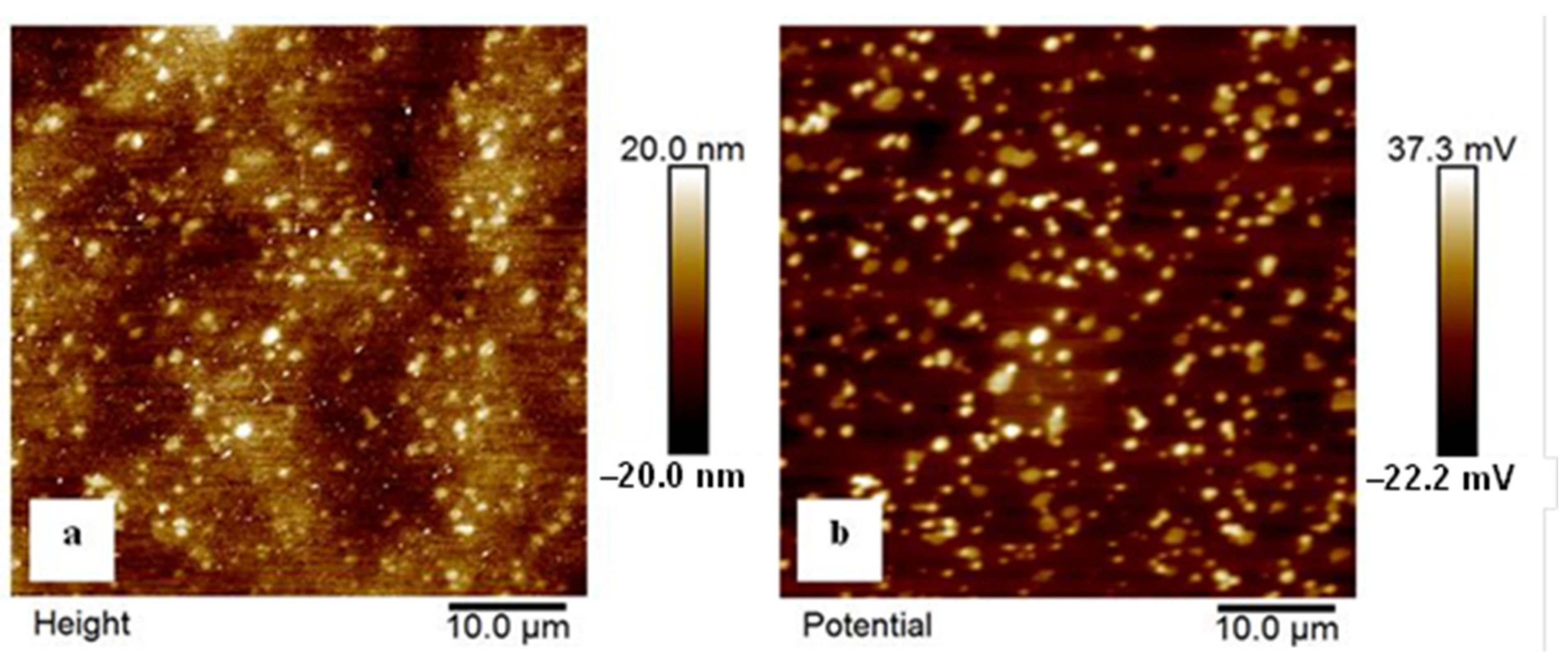 Materials 14 03759 g014 550