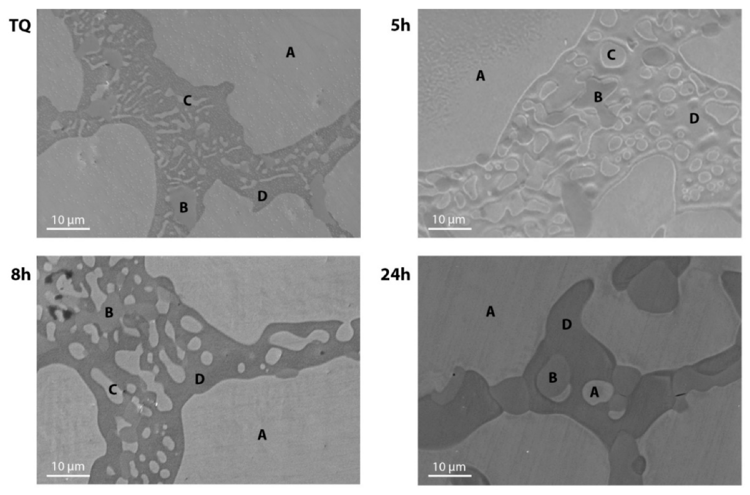 Materials 14 03770 g006 550