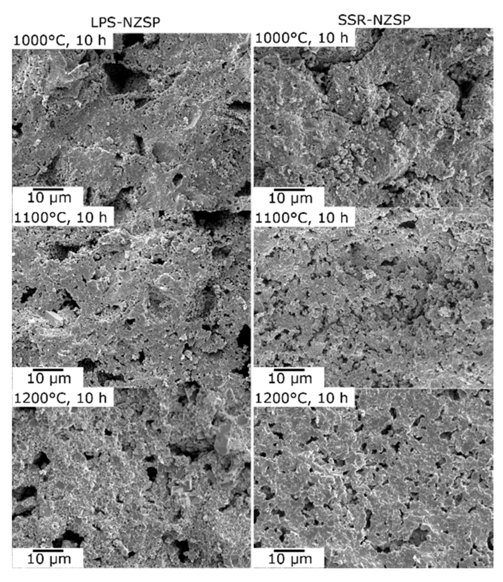 Materials 14 03790 g006