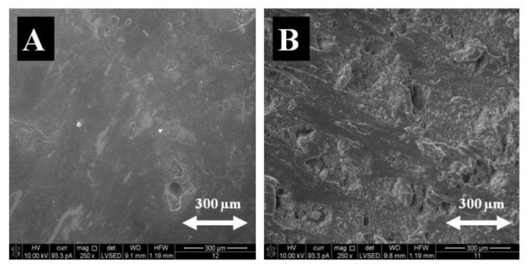 Materials 14 03806 g002