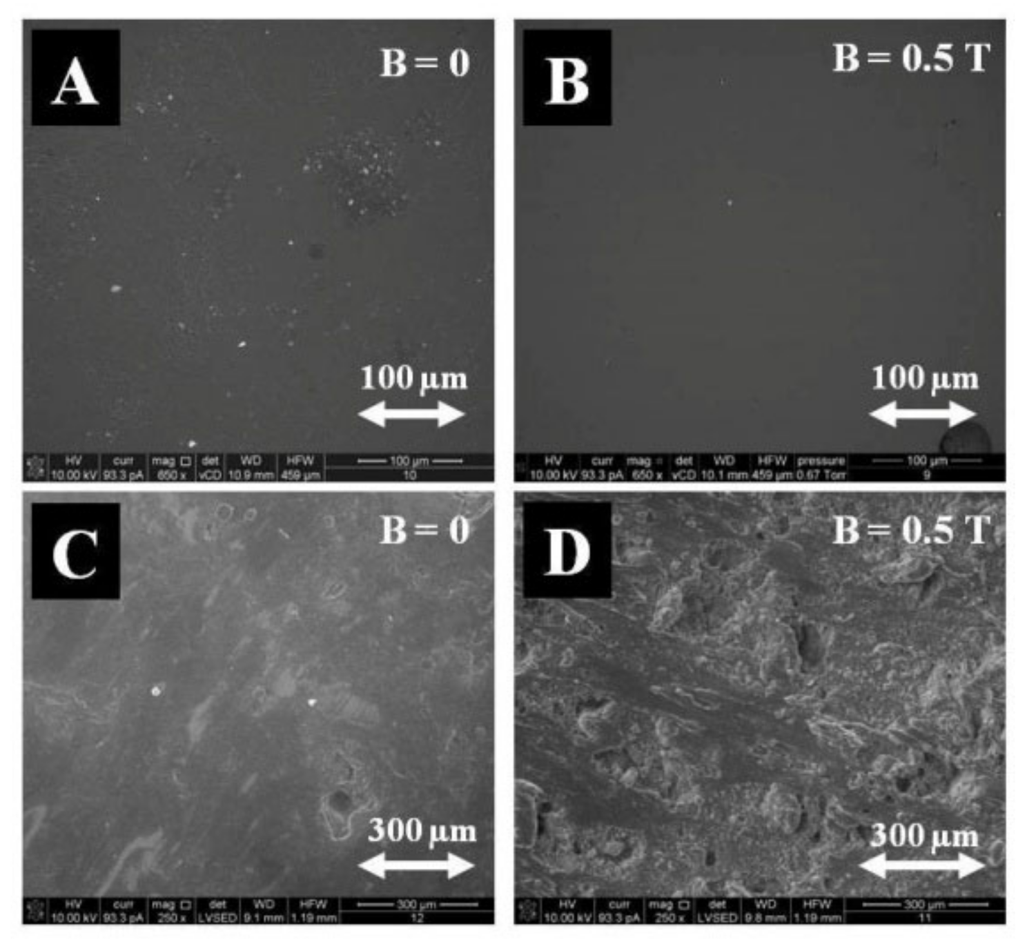 Materials 14 03806 g008