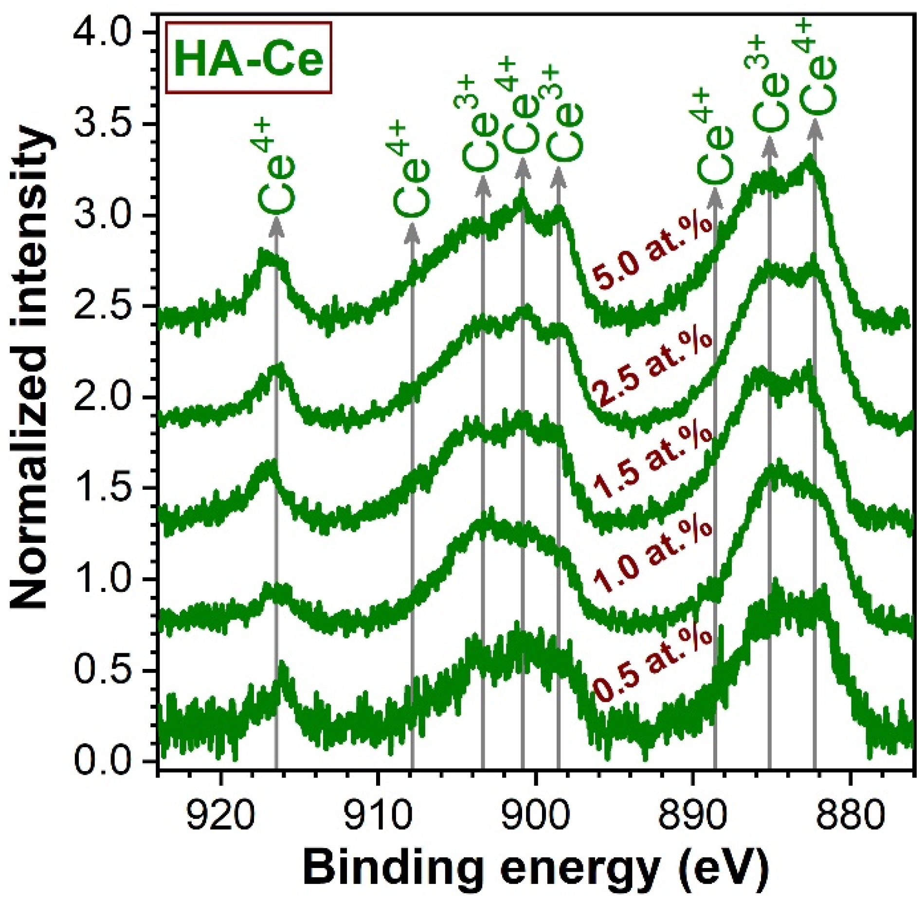 Materials 14 03808 g002