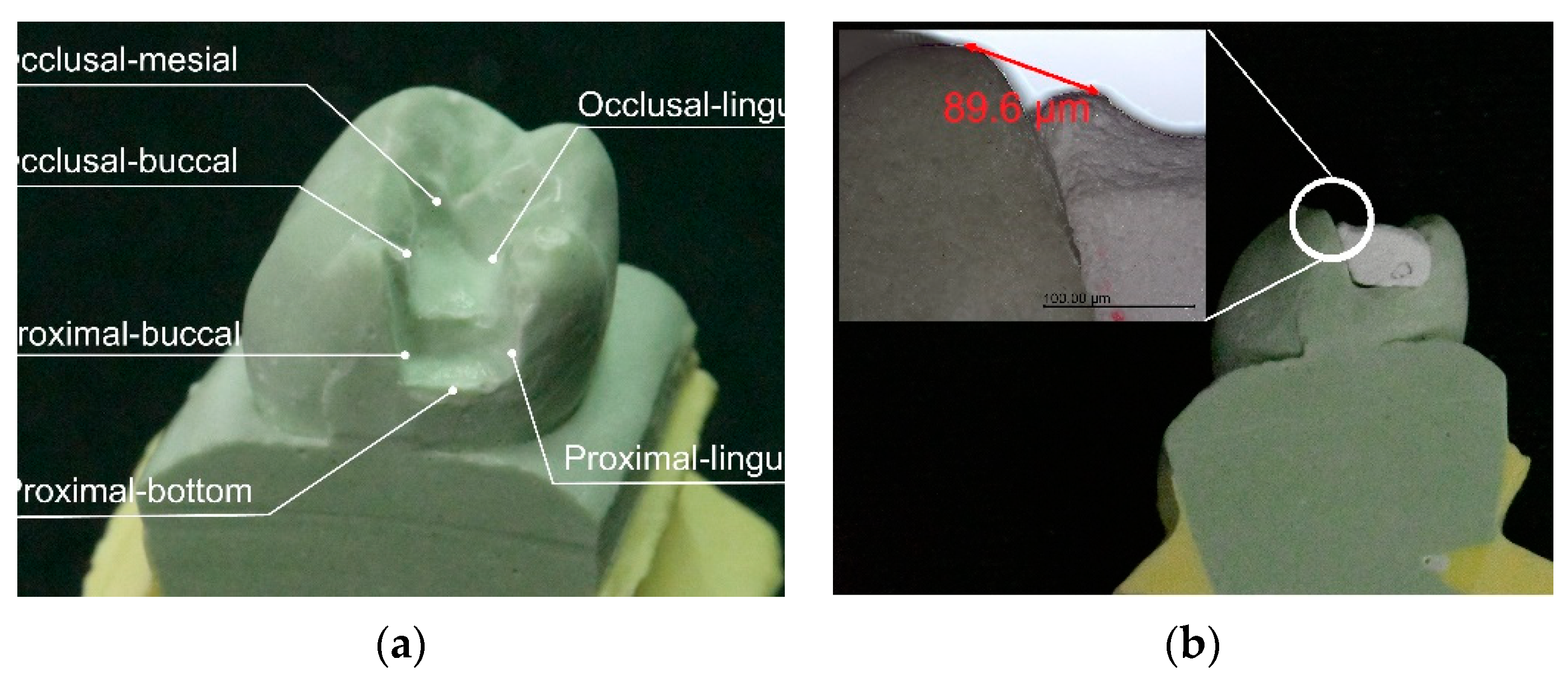 Materials 14 03819 g002