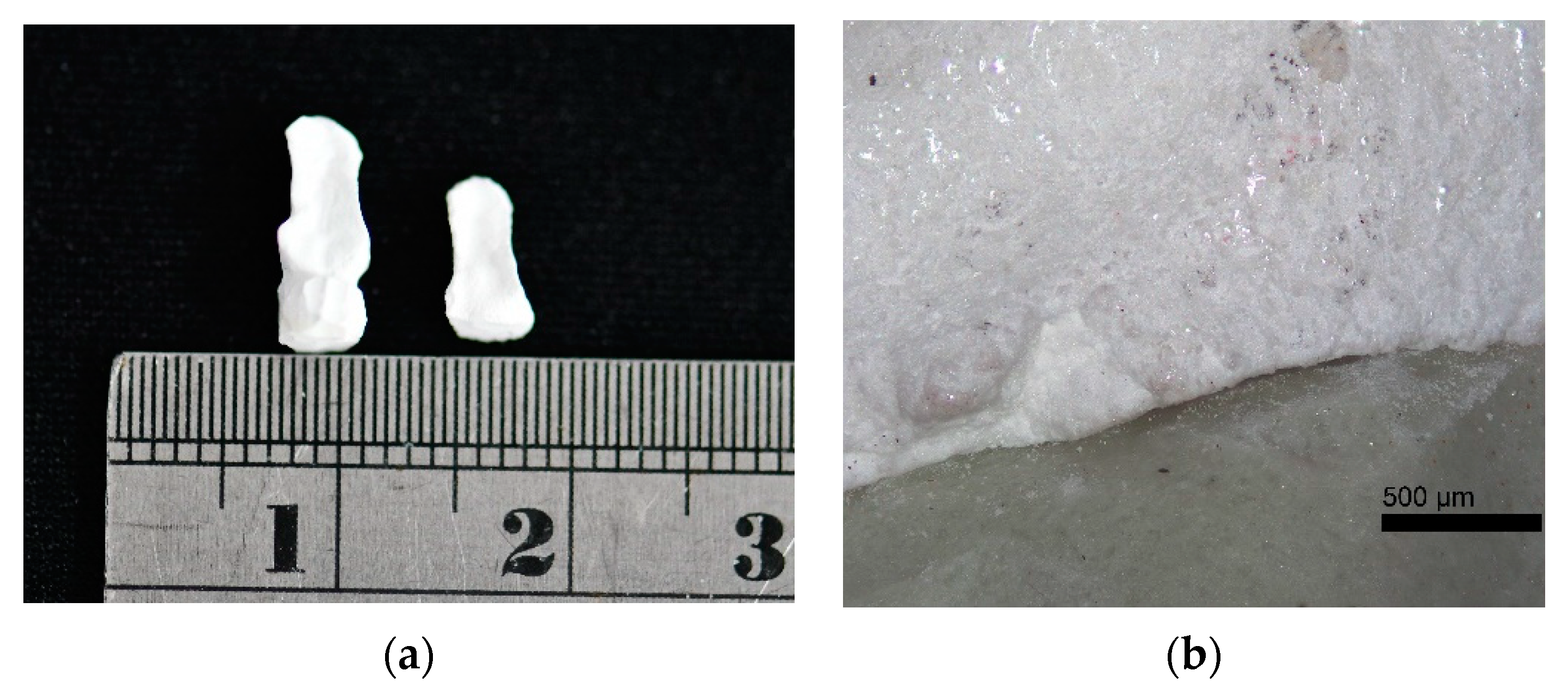 Materials 14 03819 g007