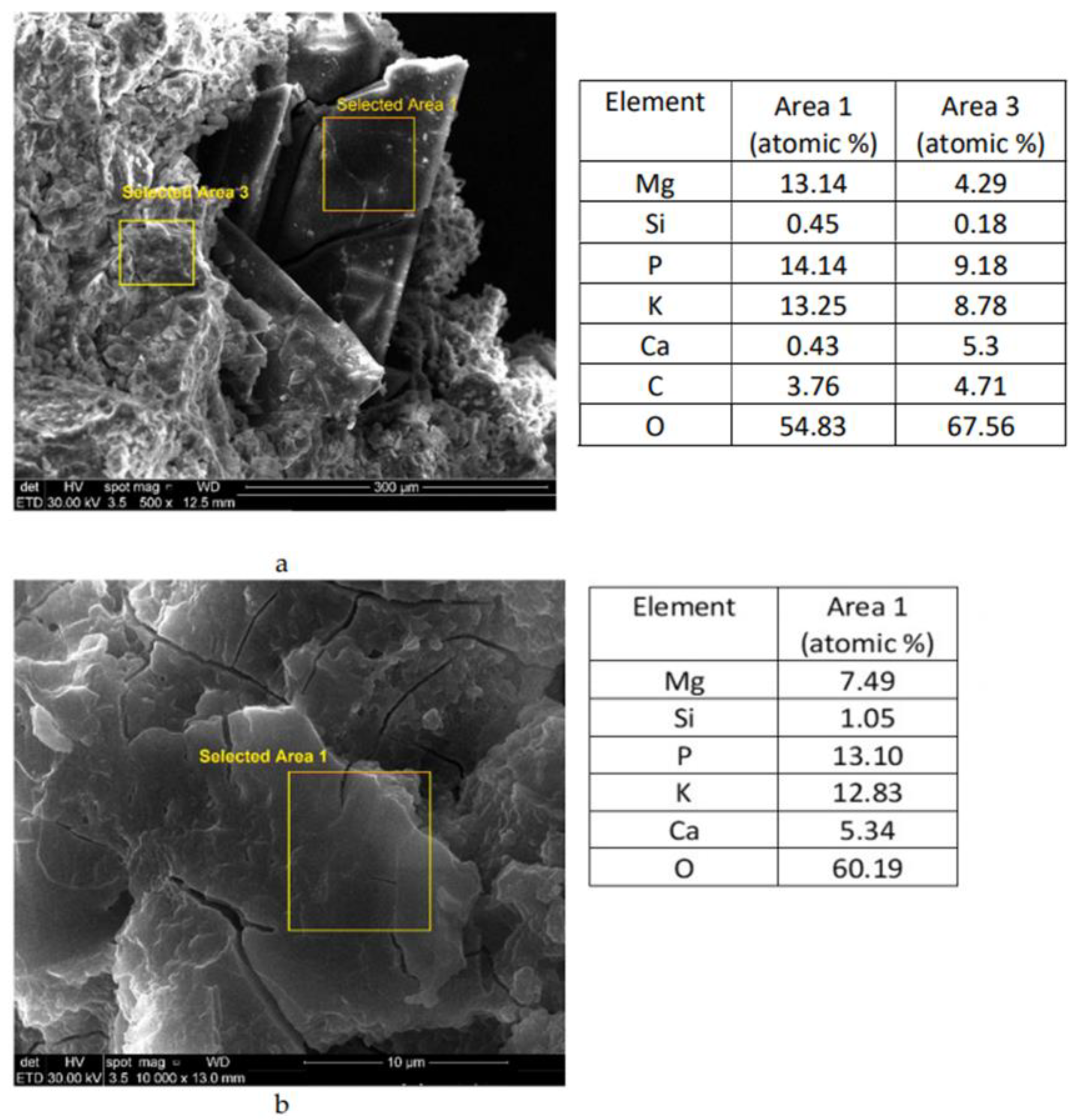 Materials 14 03838 g009