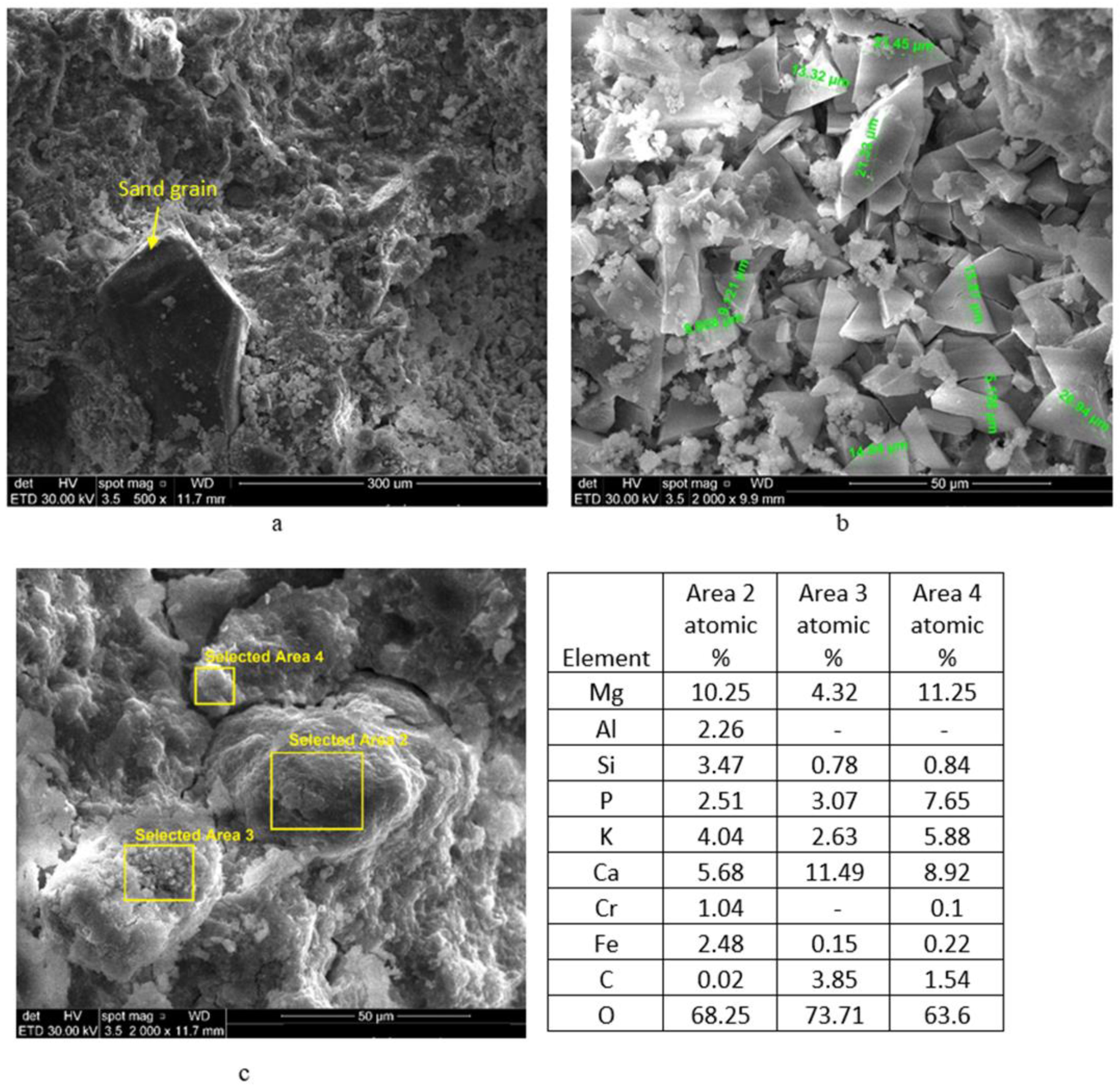 Materials 14 03838 g010
