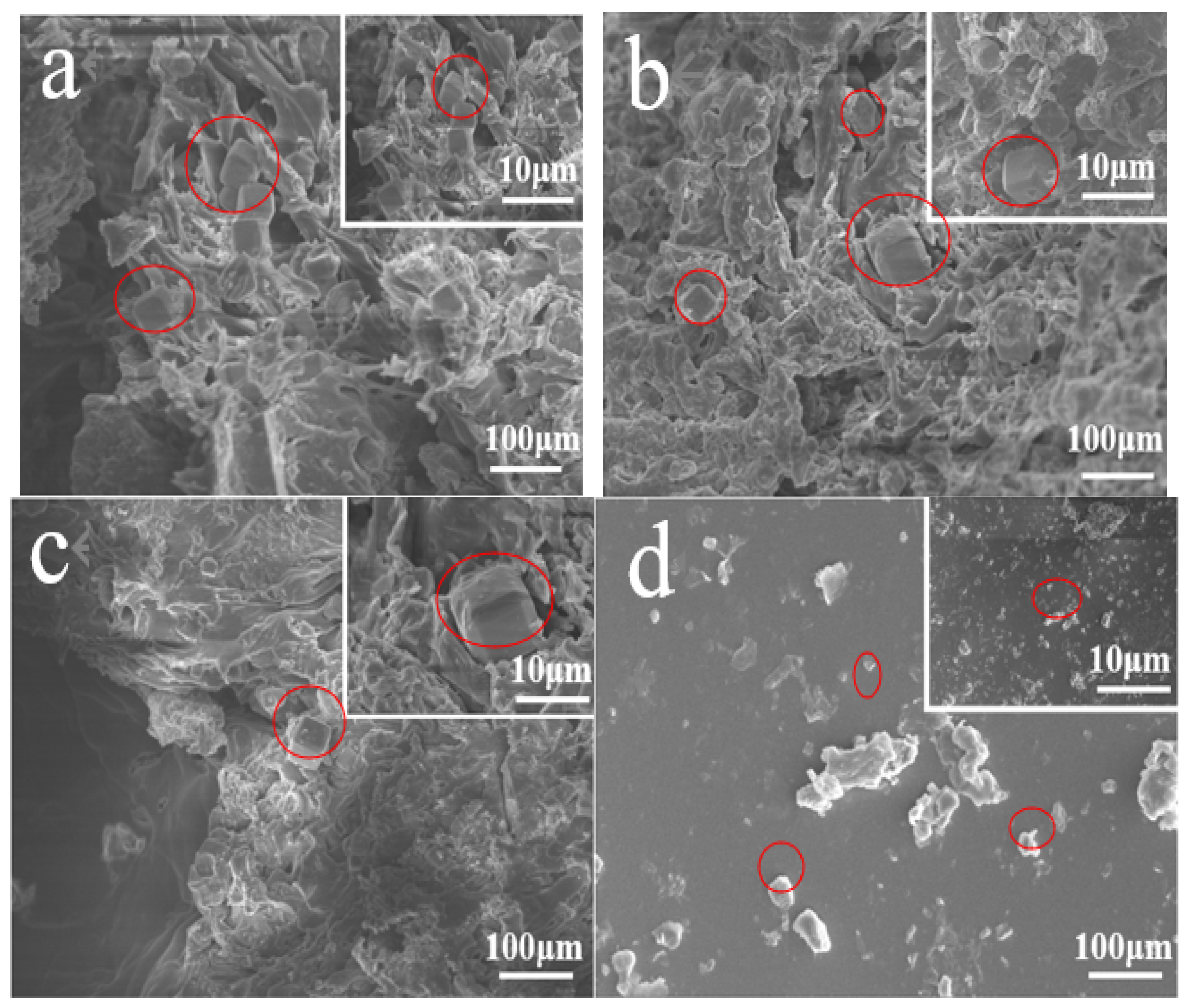 Materials 14 03839 g012