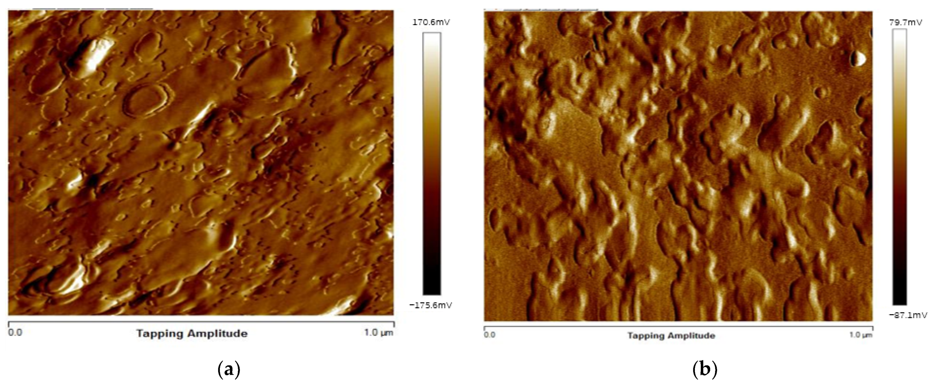 Materials 14 03839 g013