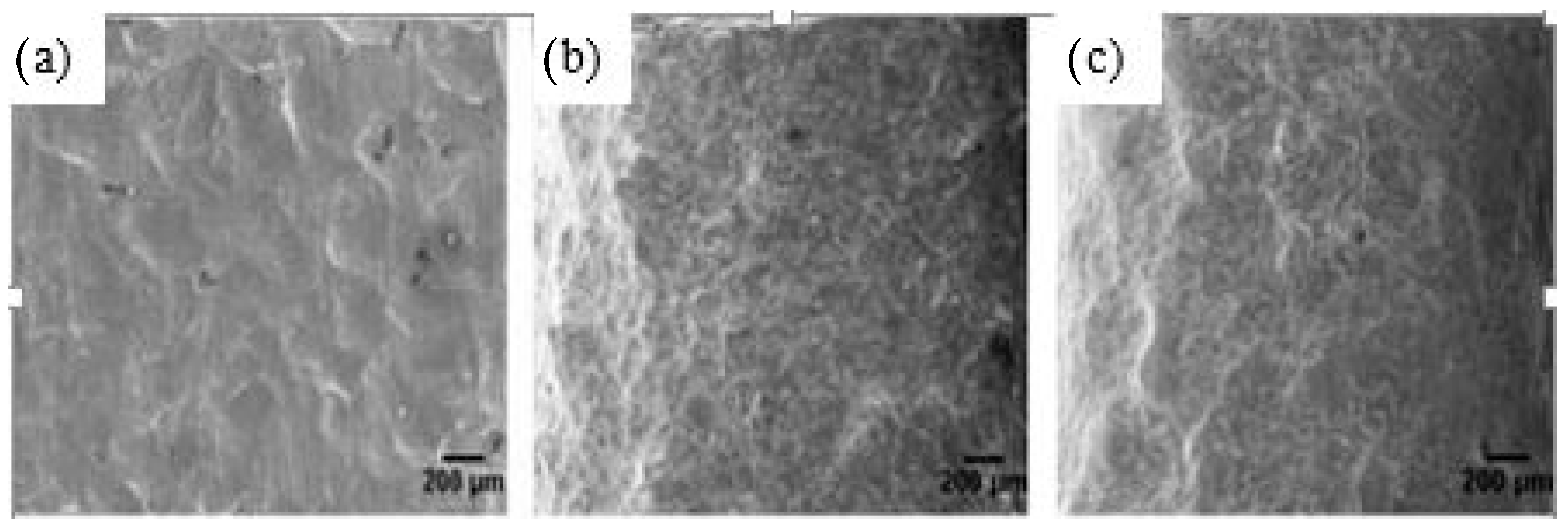 Materials 14 03841 g004 Materials 14 03841 g004