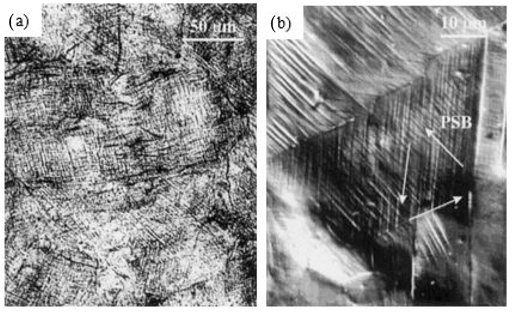 Materials 14 03841 g013 Materials 14 03841 g013