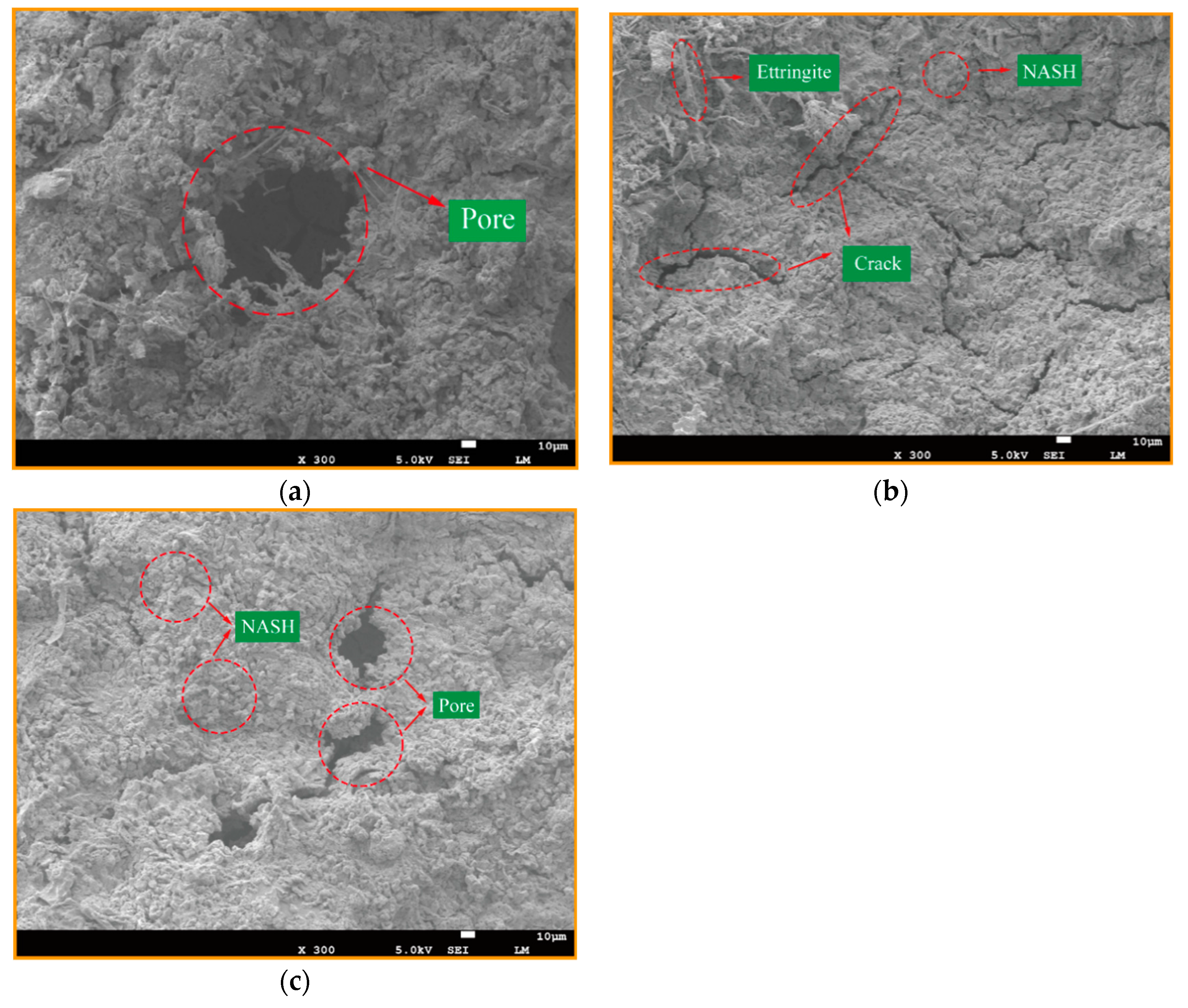Materials 14 03845 g006 550