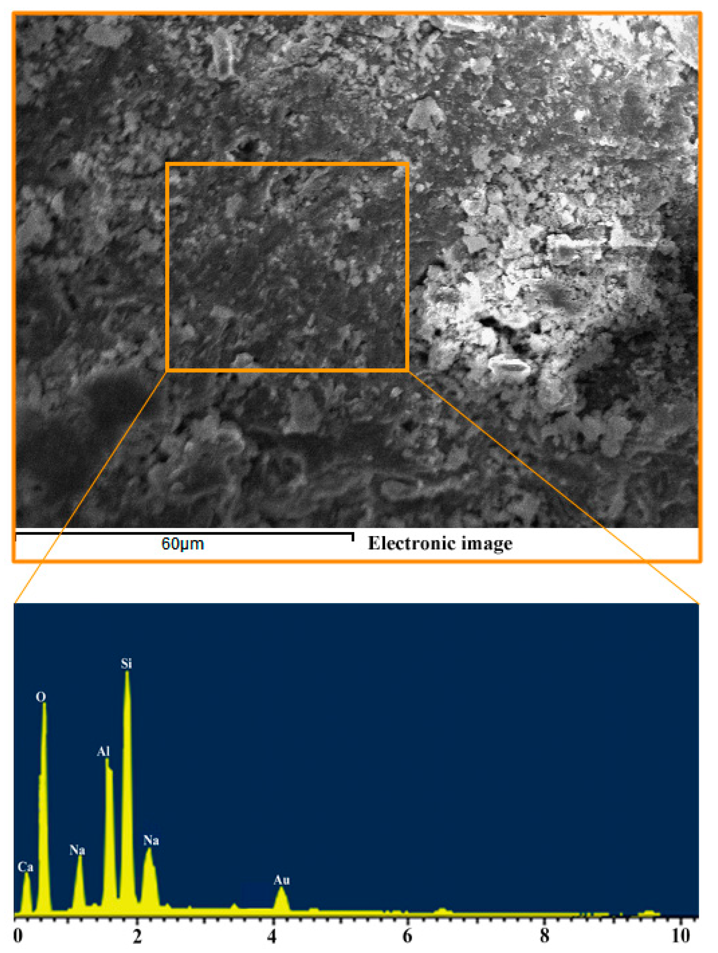 Materials 14 03845 g007 550