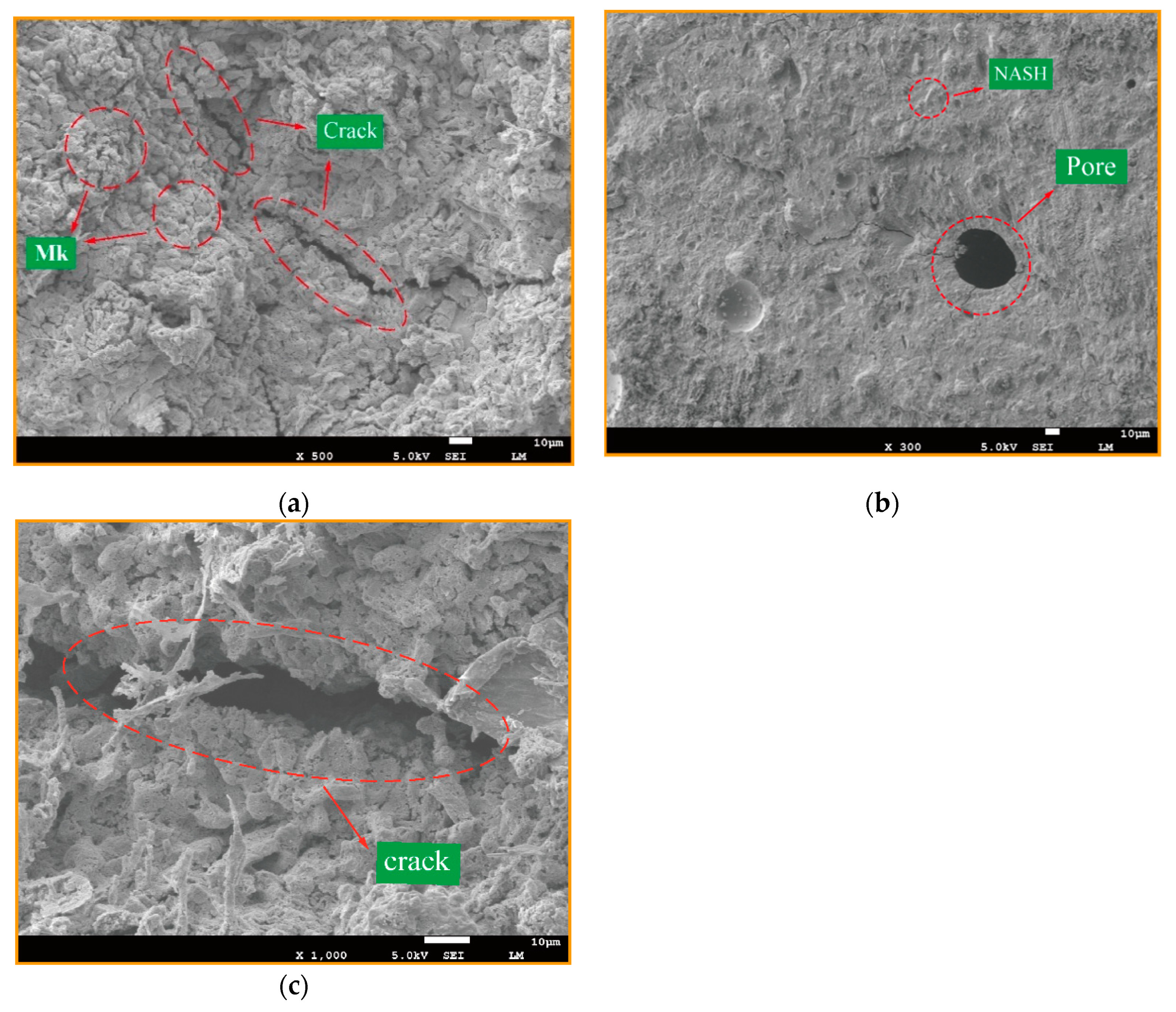 Materials 14 03845 g010 550