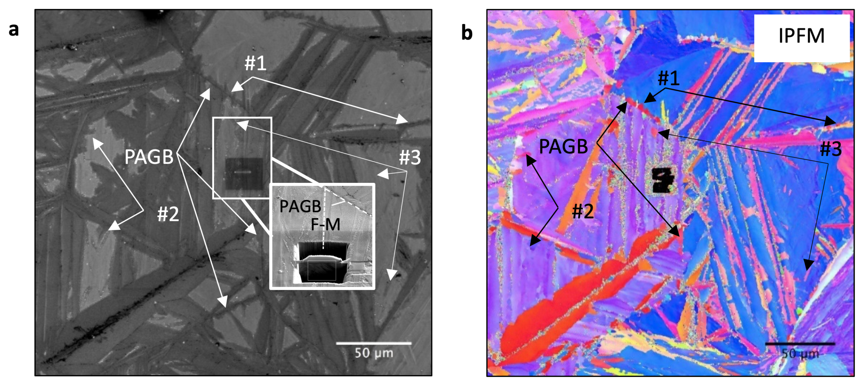 Materials 14 03849 g001