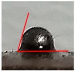 Materials 14 03850 i002