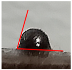 Materials 14 03850 i003