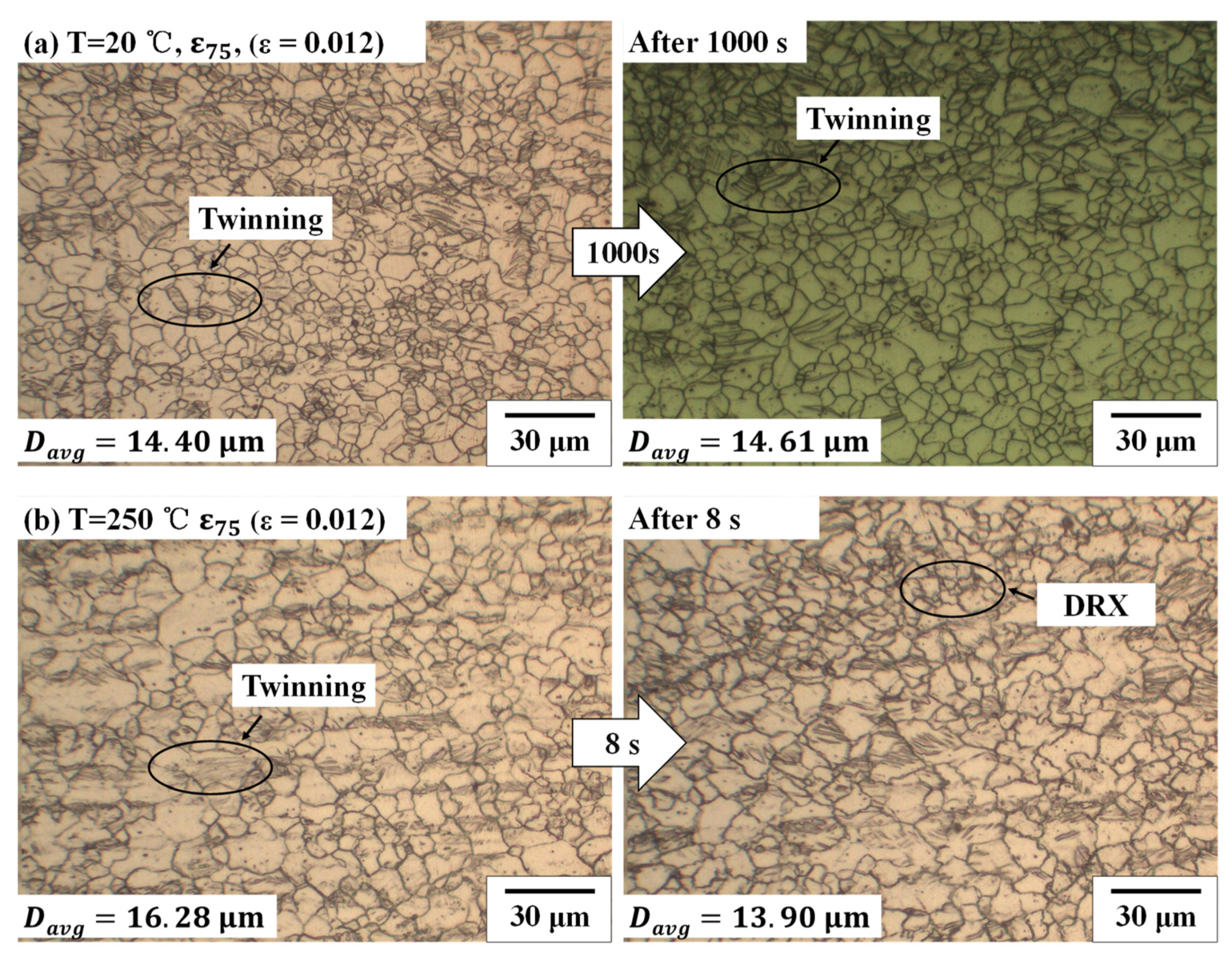 Materials 14 03856 g011 Materials 14 03856 g011