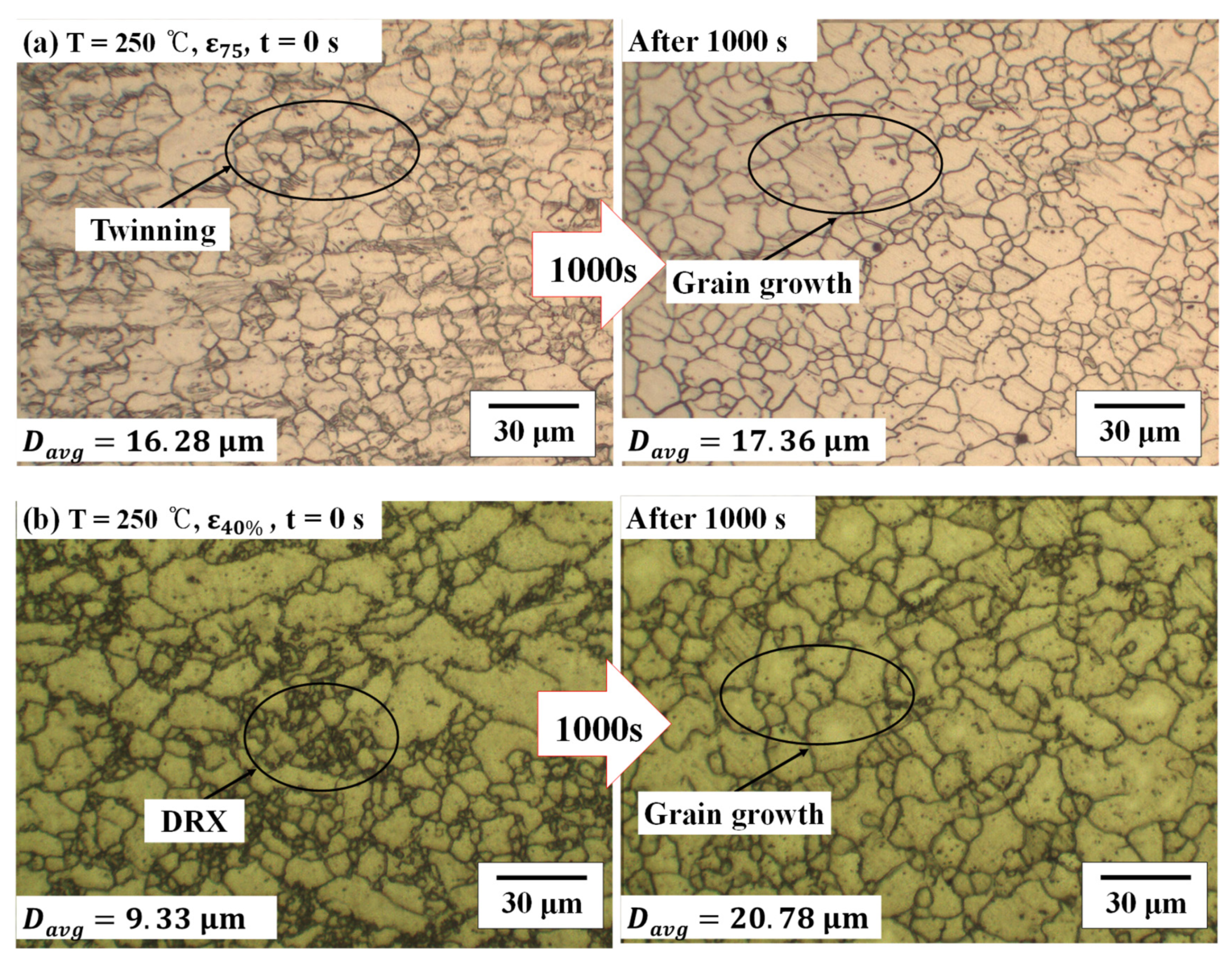 Materials 14 03856 g014 Materials 14 03856 g014