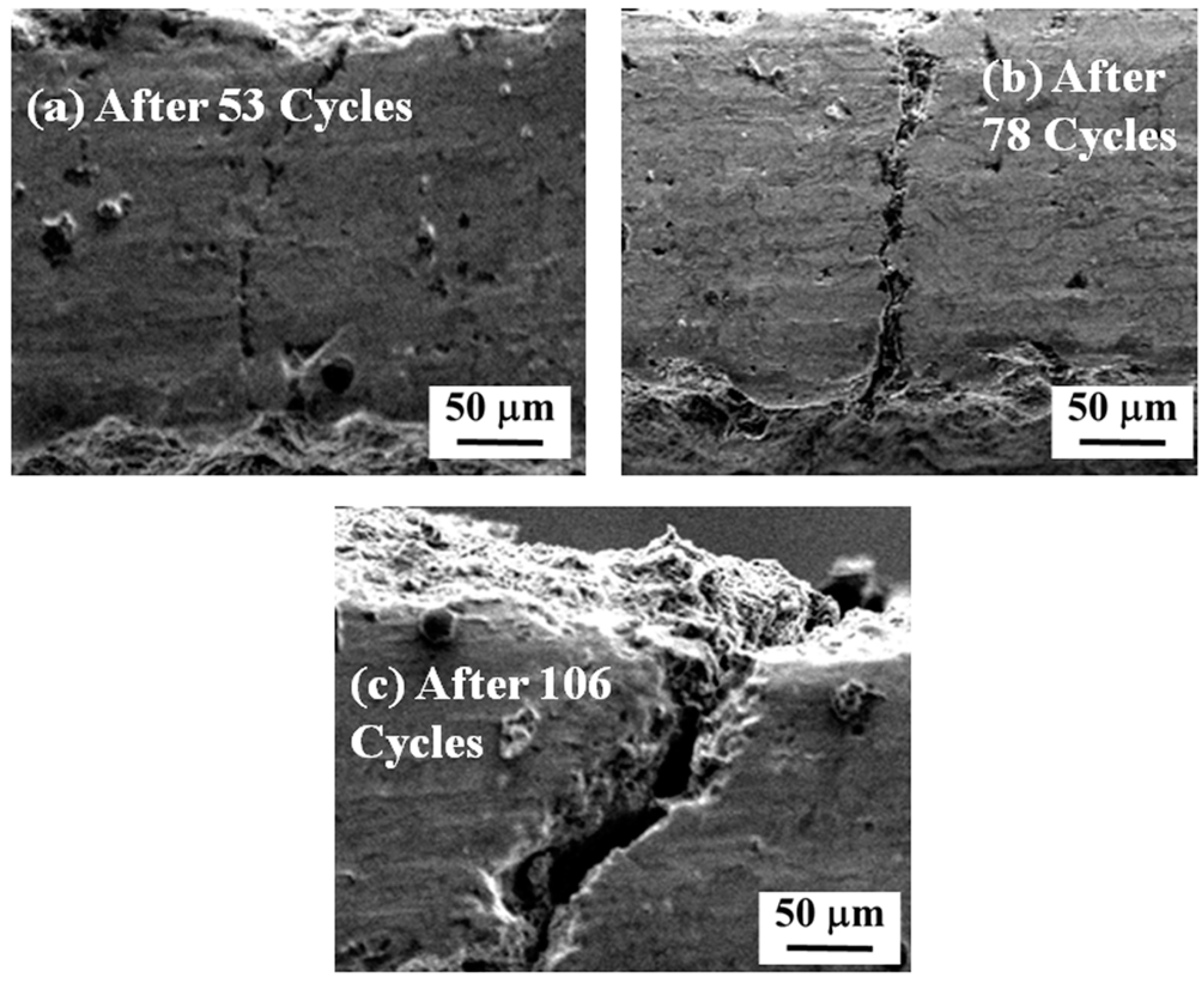 Materials 14 03865 g012
