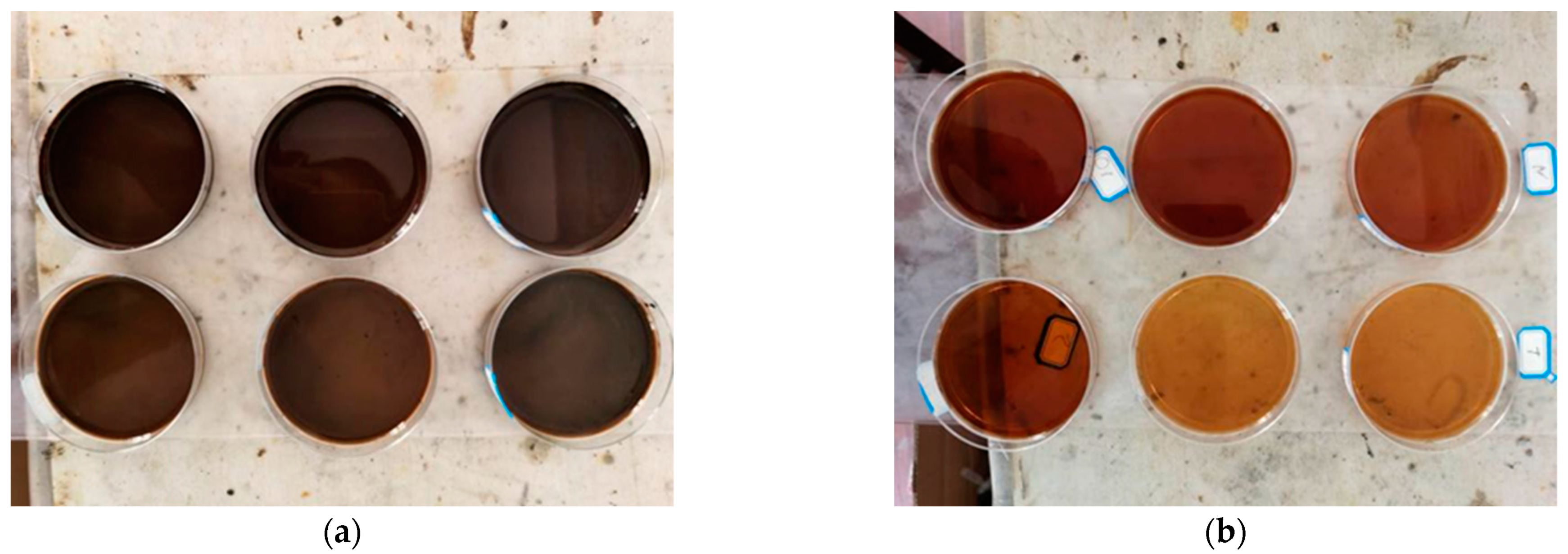 Materials 14 03878 g002