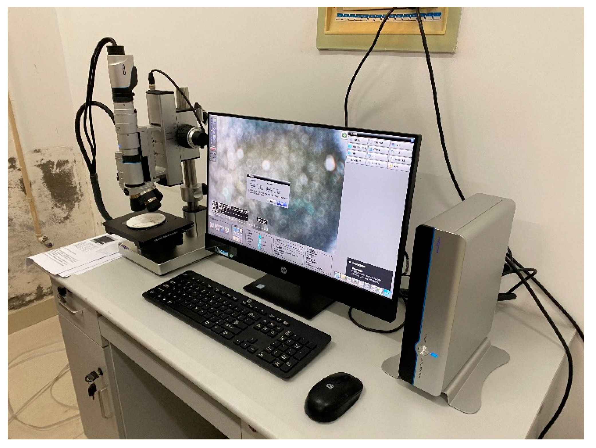 Materials 14 03878 g003