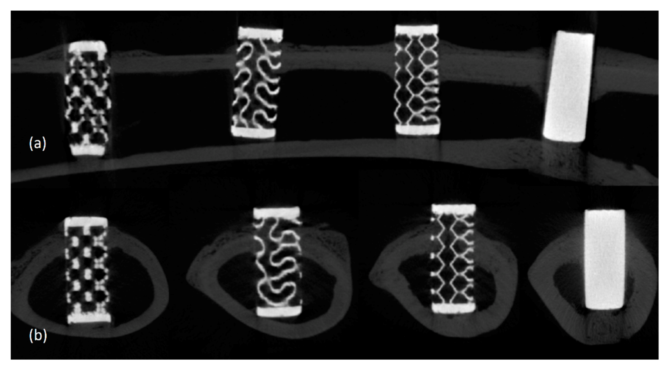 Materials 14 03892 g004