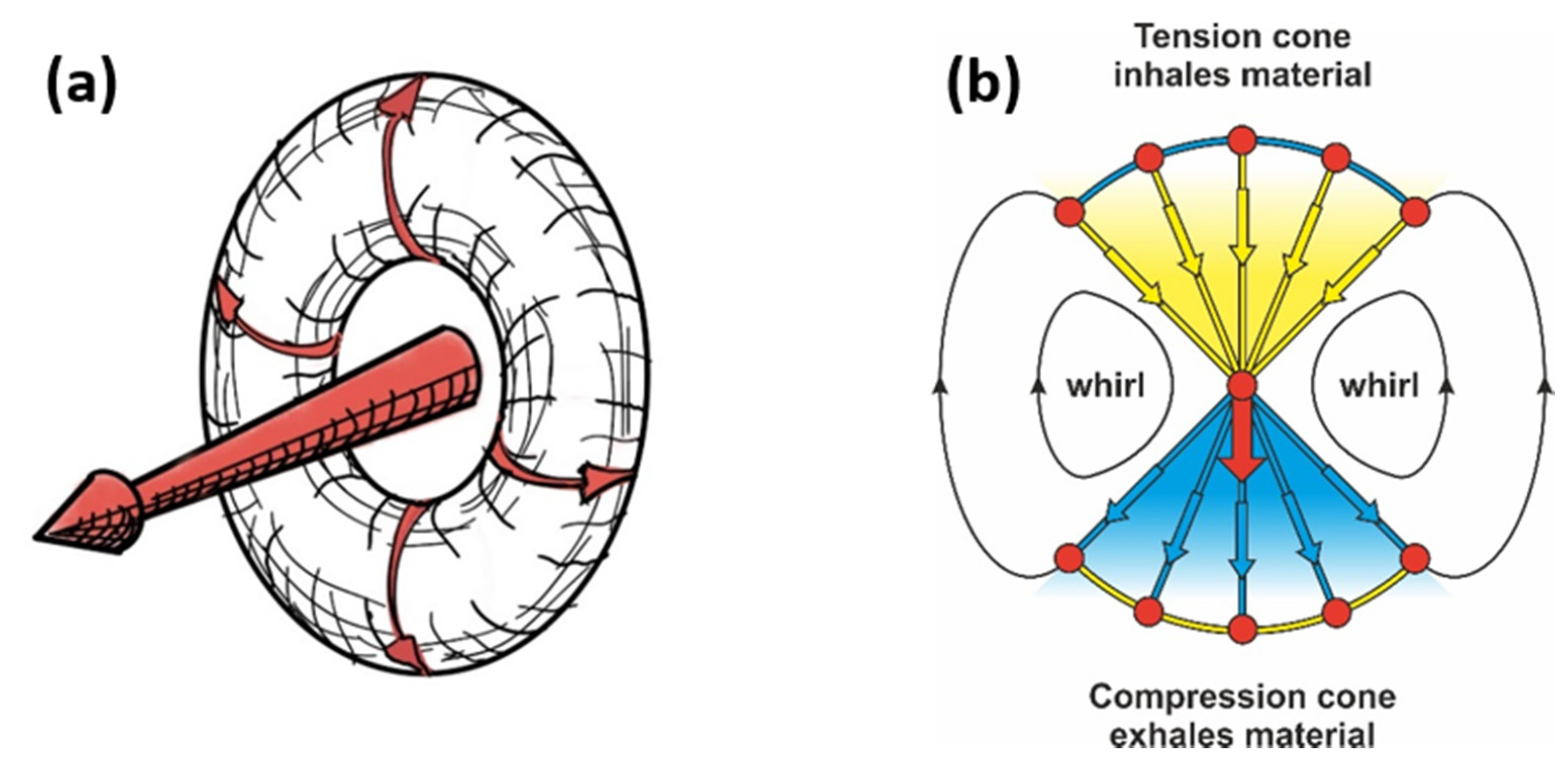 Materials 14 03894 g002