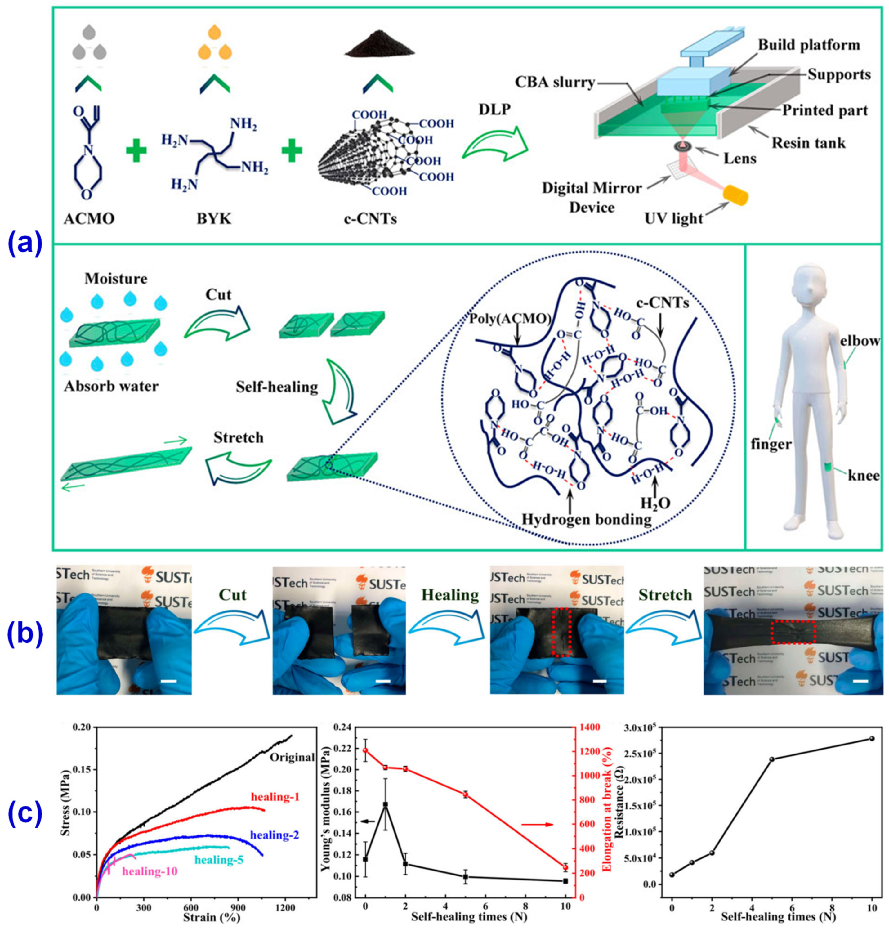 Materials 14 03911 g013
