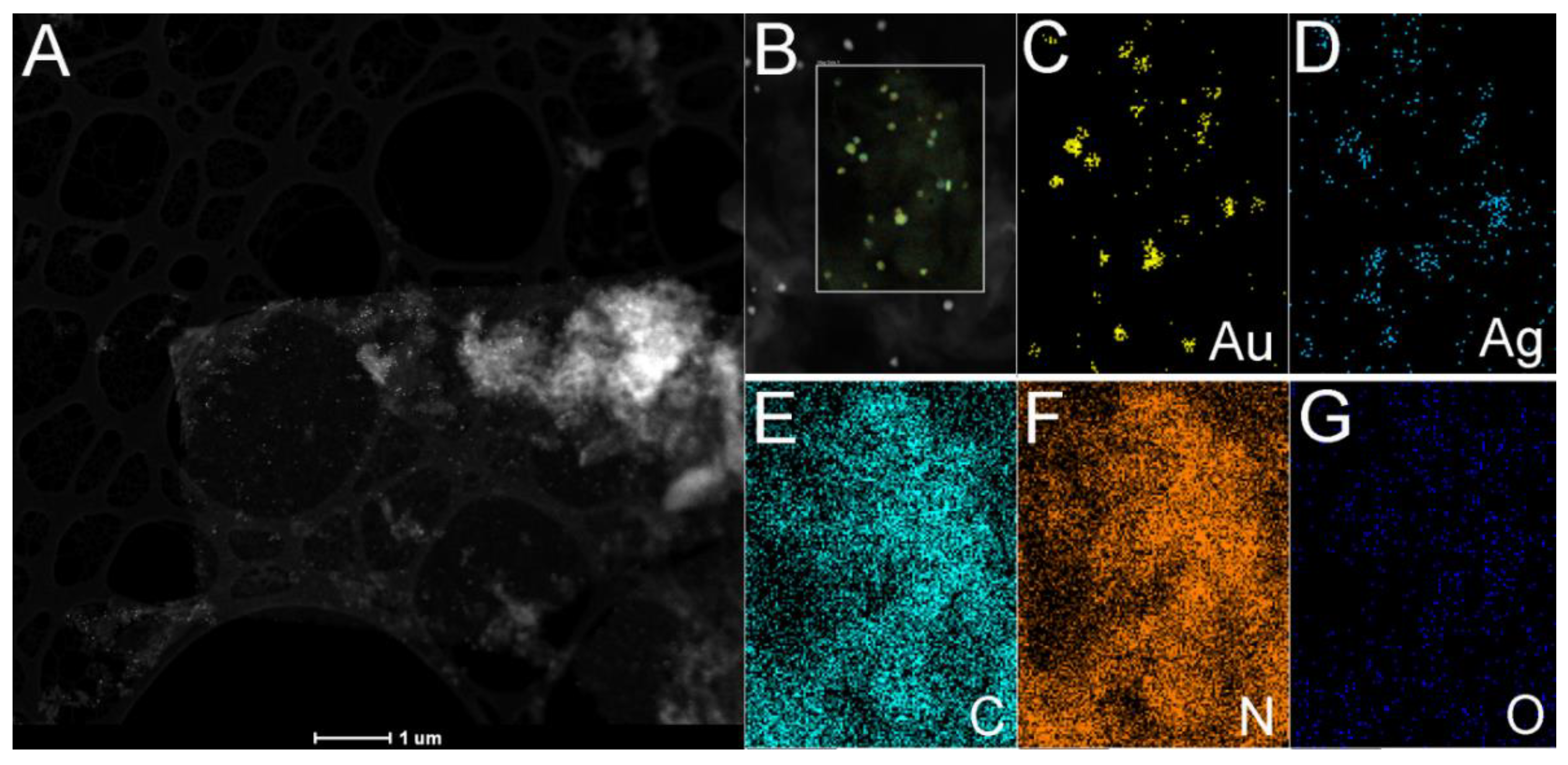Materials 14 03912 g002