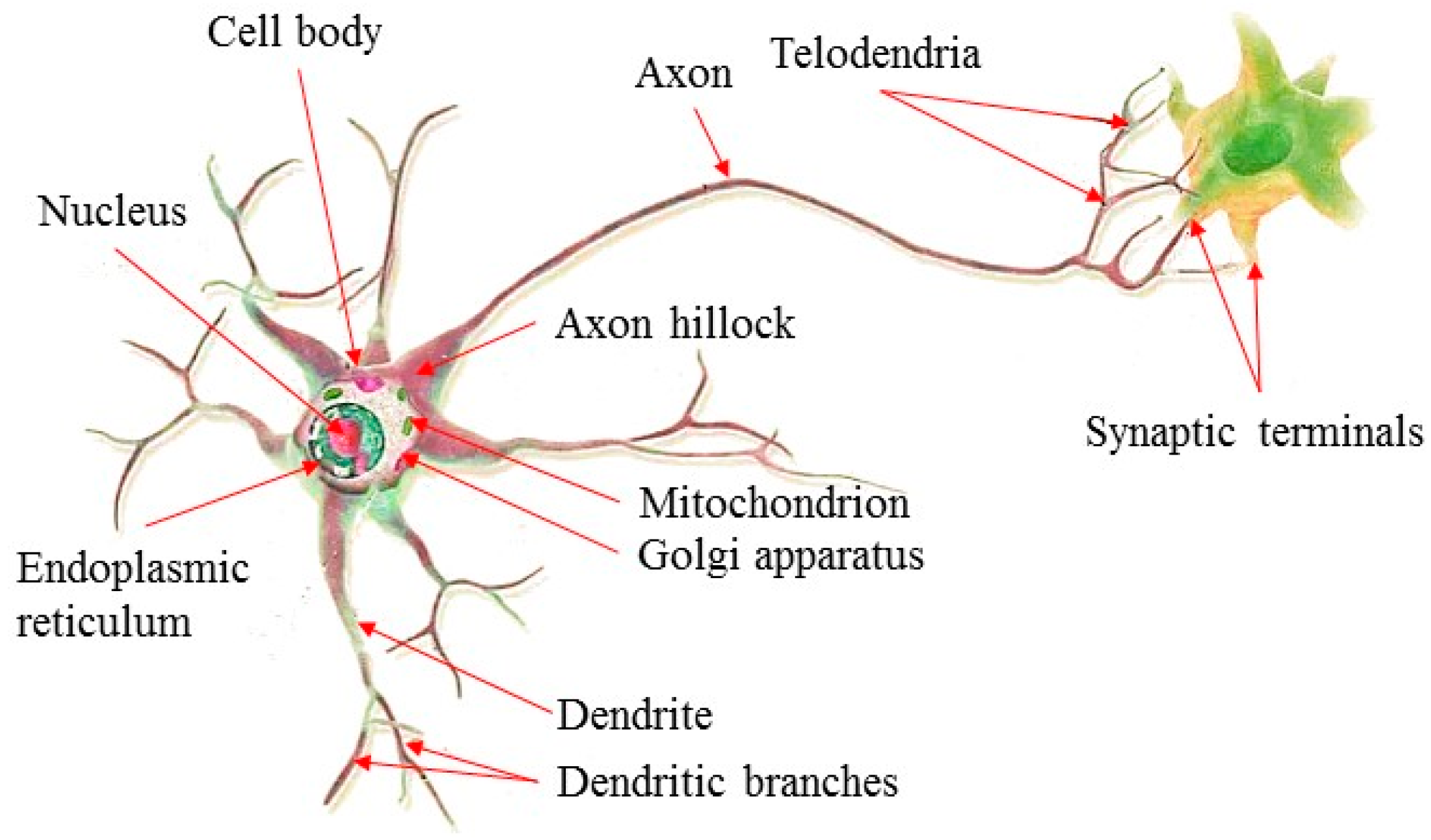 Materials 14 03921 g014 550