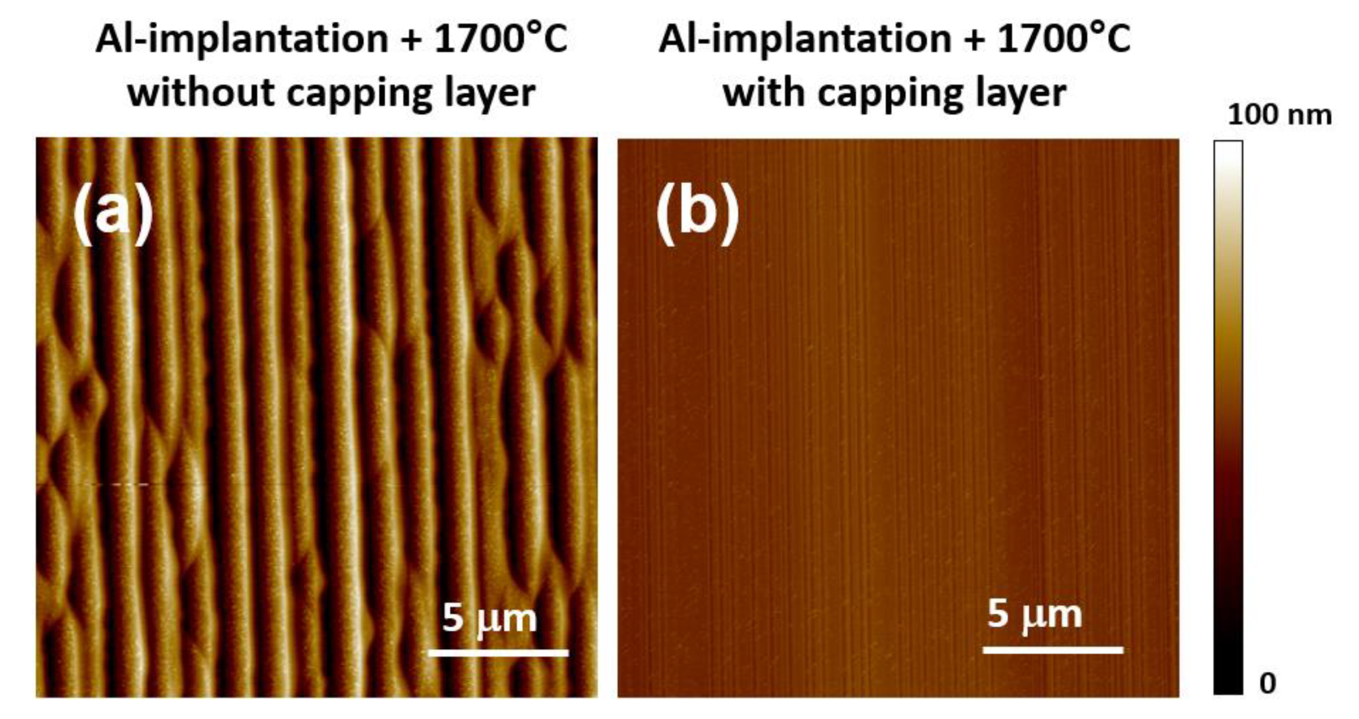 Materials 14 03923 g006