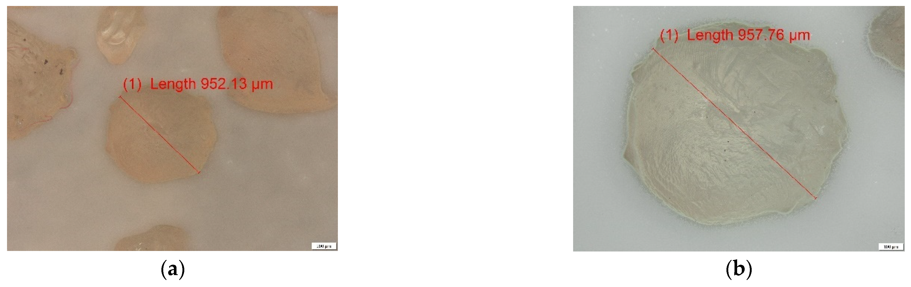 Materials 14 03946 g007 550