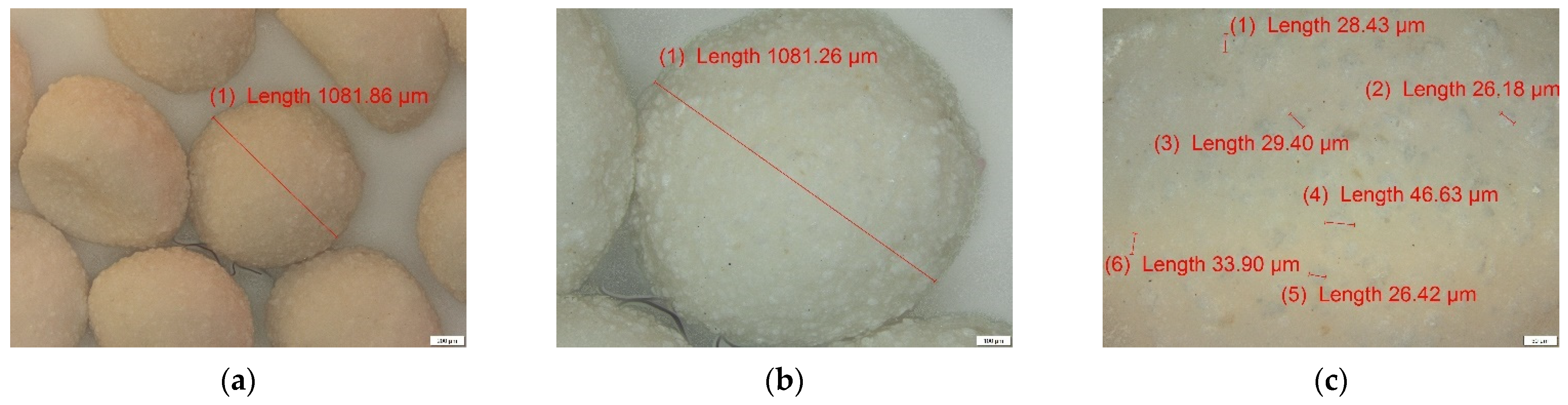 Materials 14 03946 g008 550