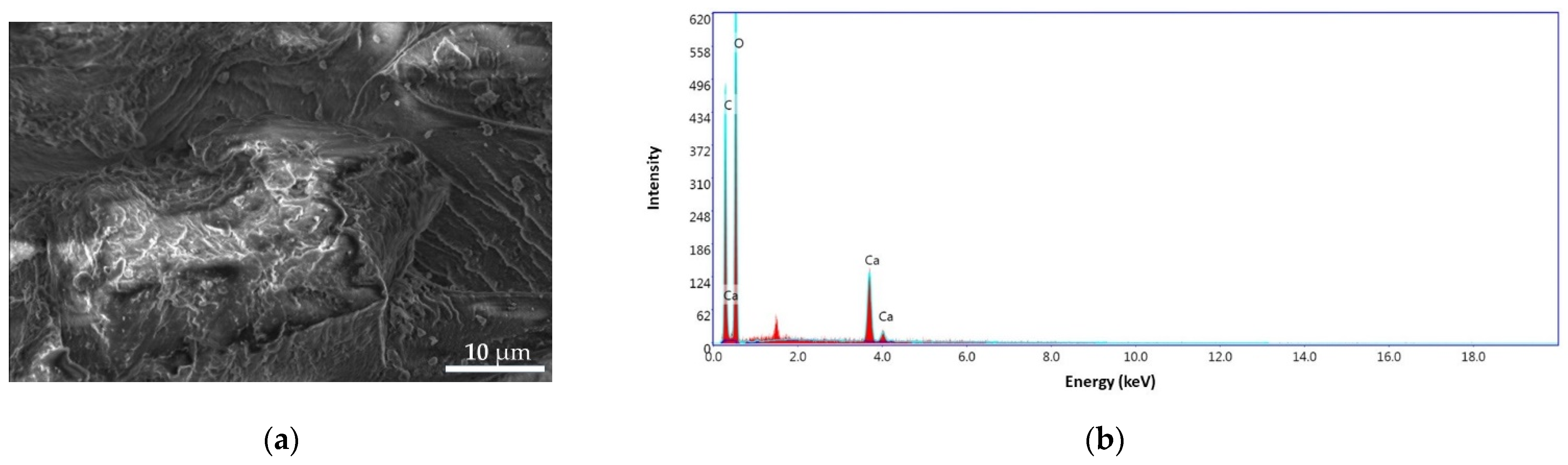 Materials 14 03946 g012 550
