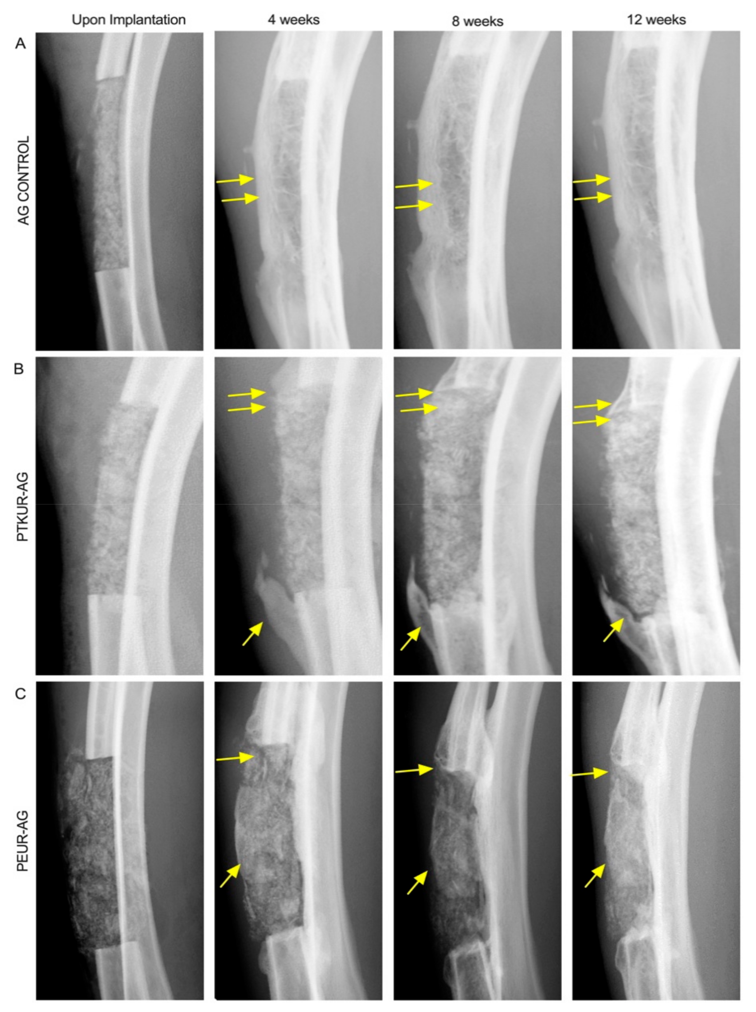 Materials 14 03960 g002