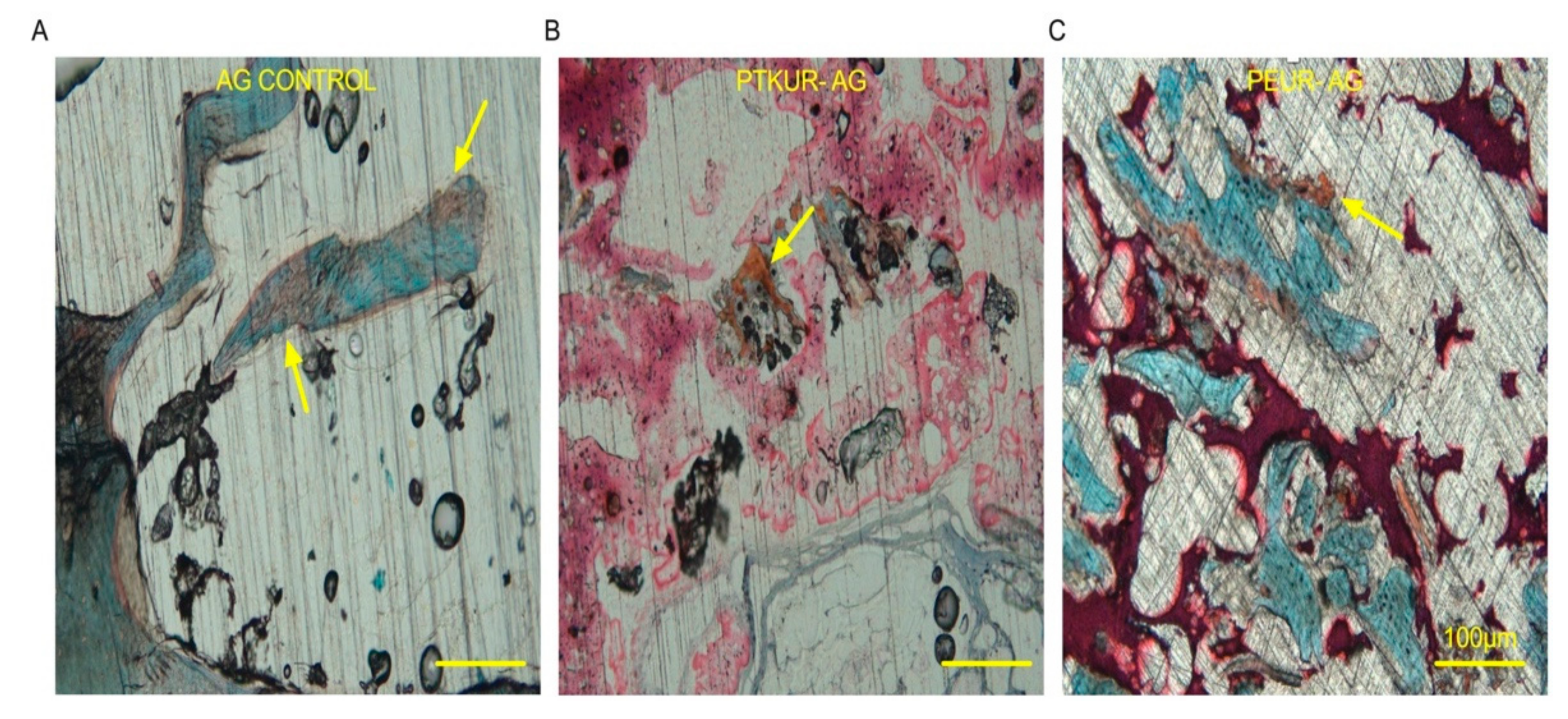 Materials 14 03960 g006