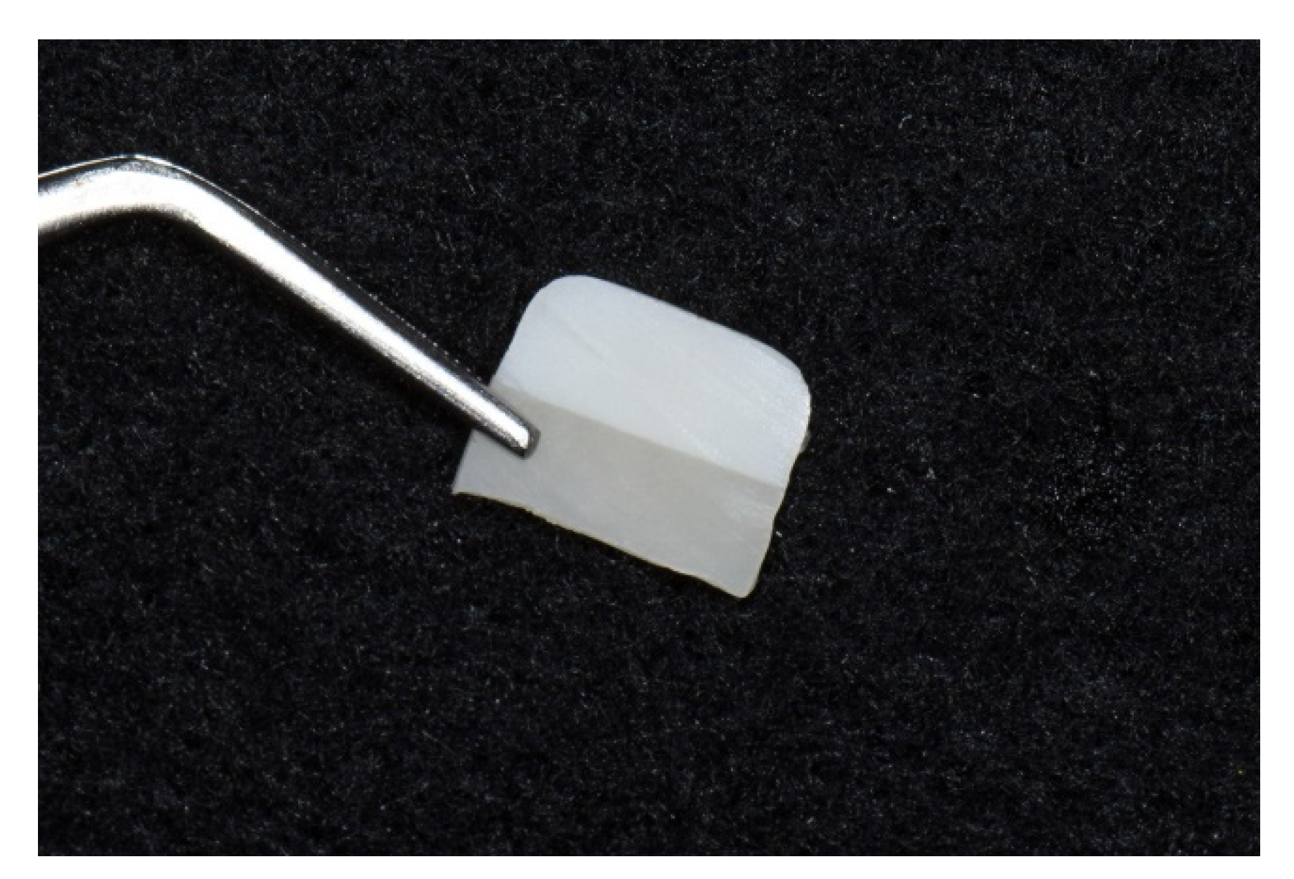 Materials 14 03976 g004 550