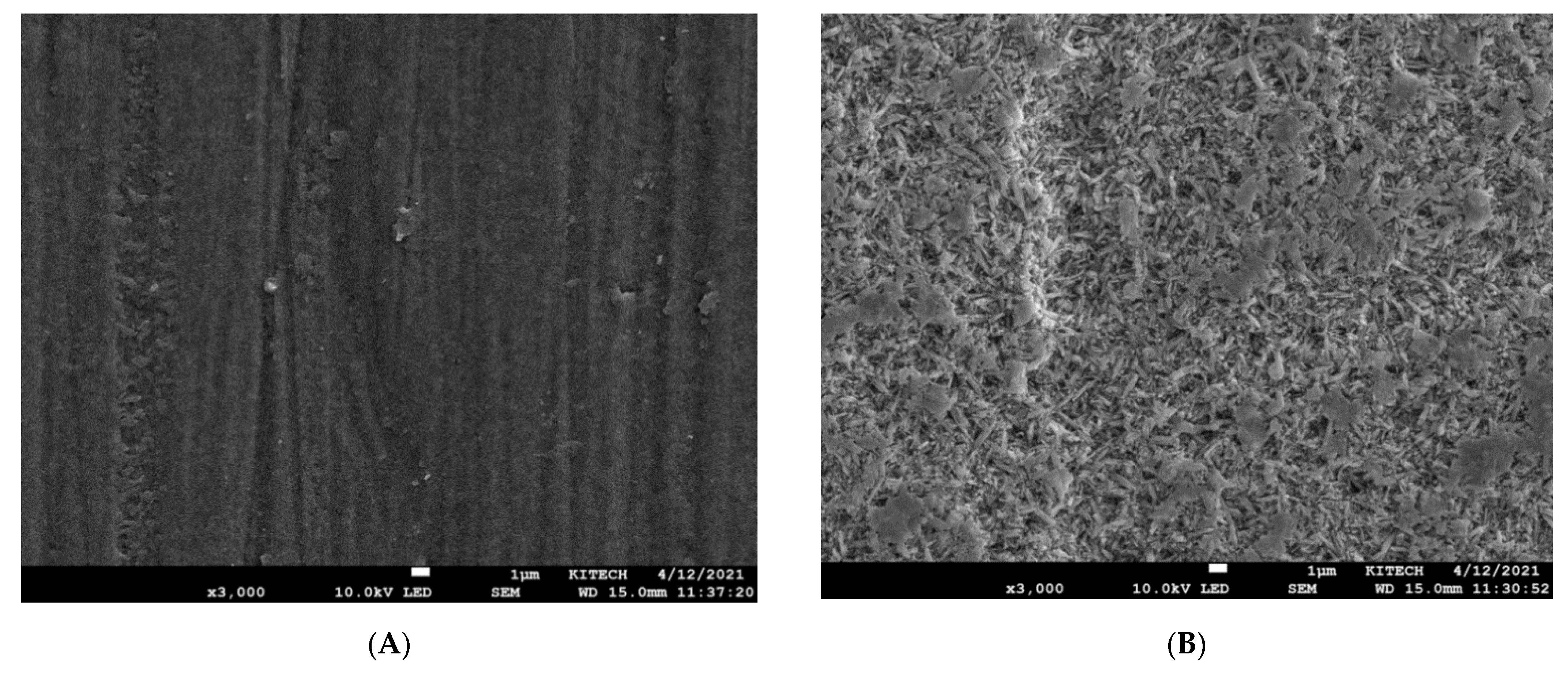 Materials 14 03976 g006 550