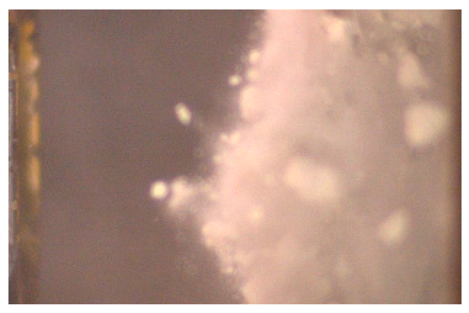 Materials 14 03980 g010