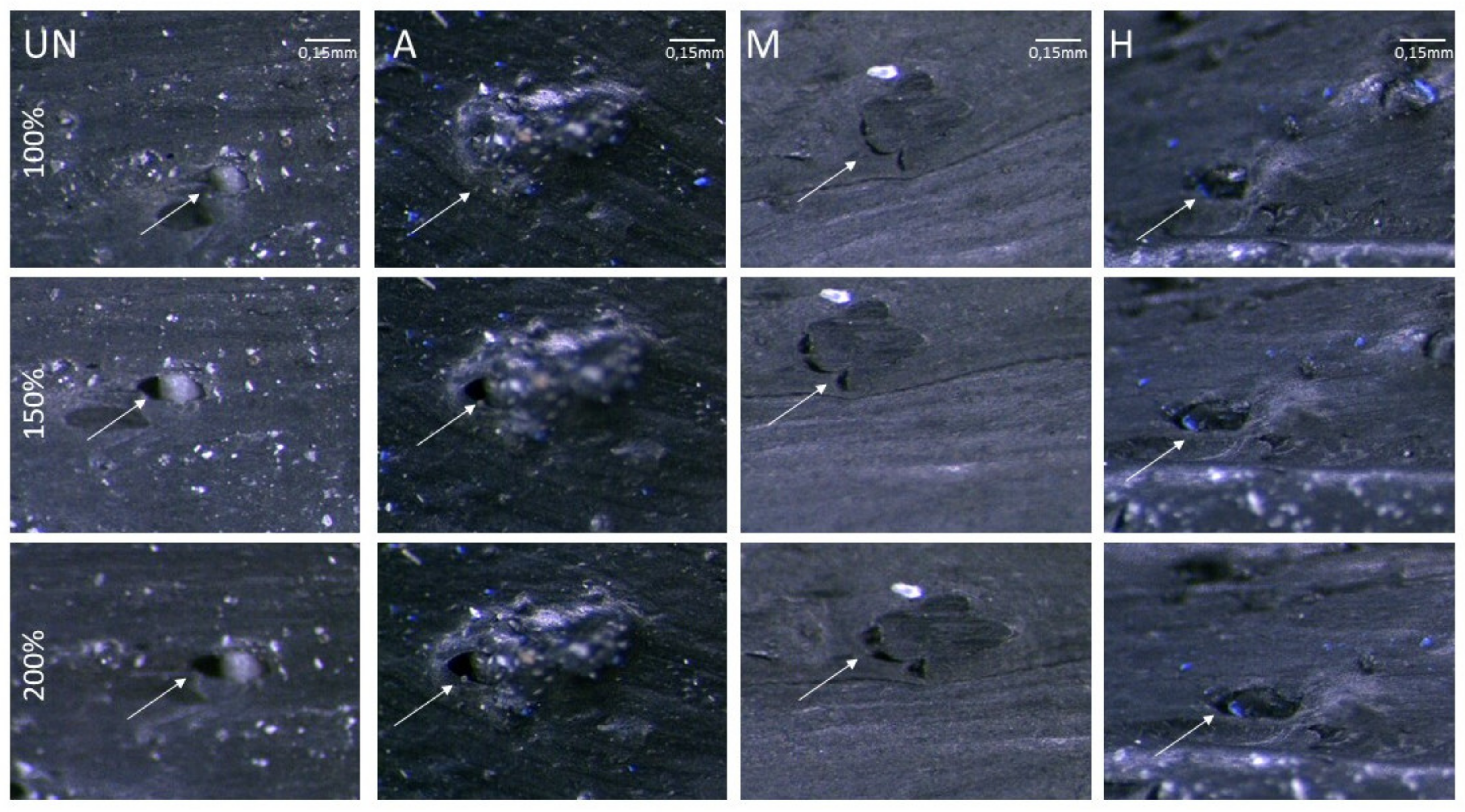 Materials 14 03991 g011