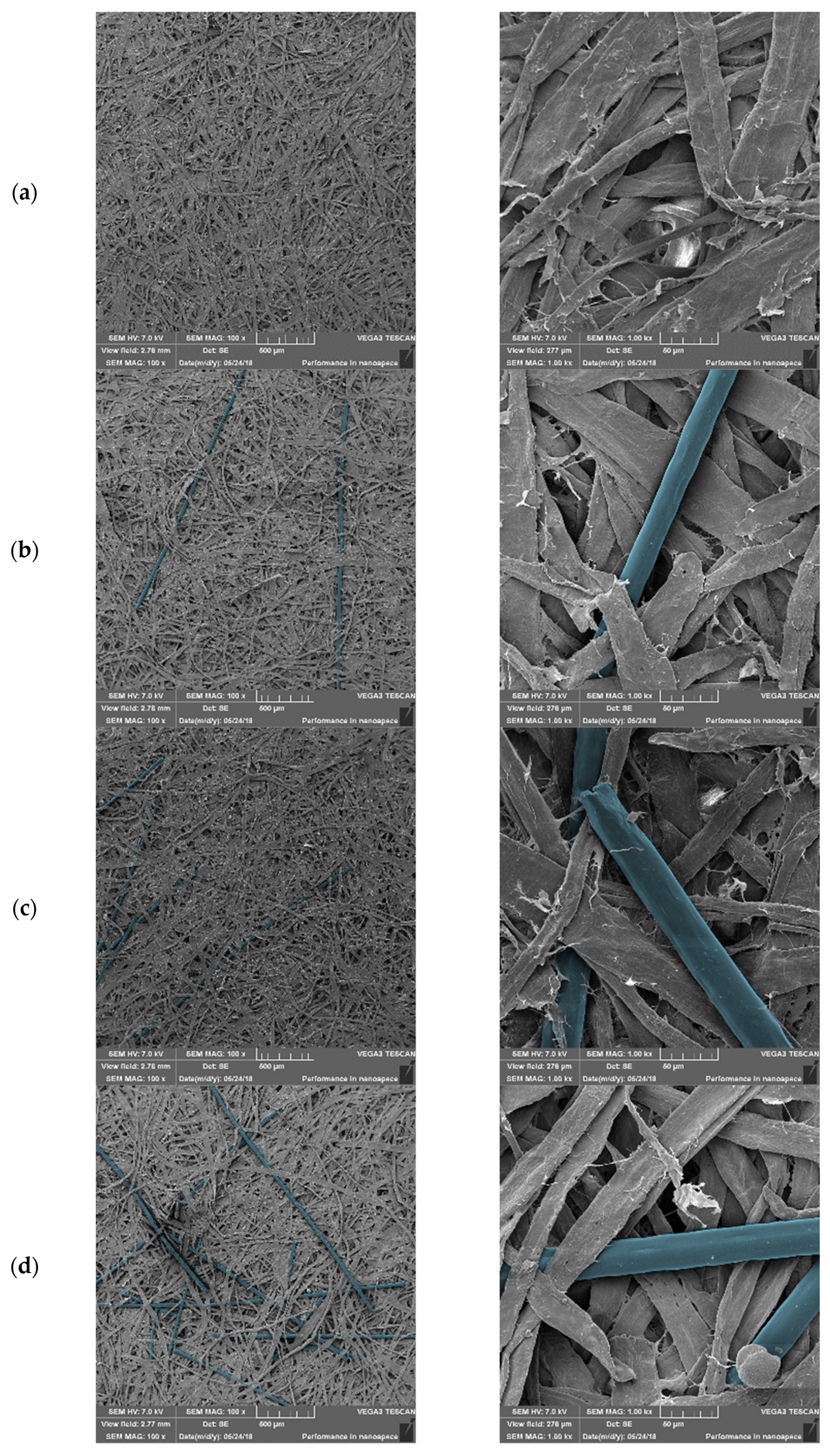 Materials 14 04006 g006