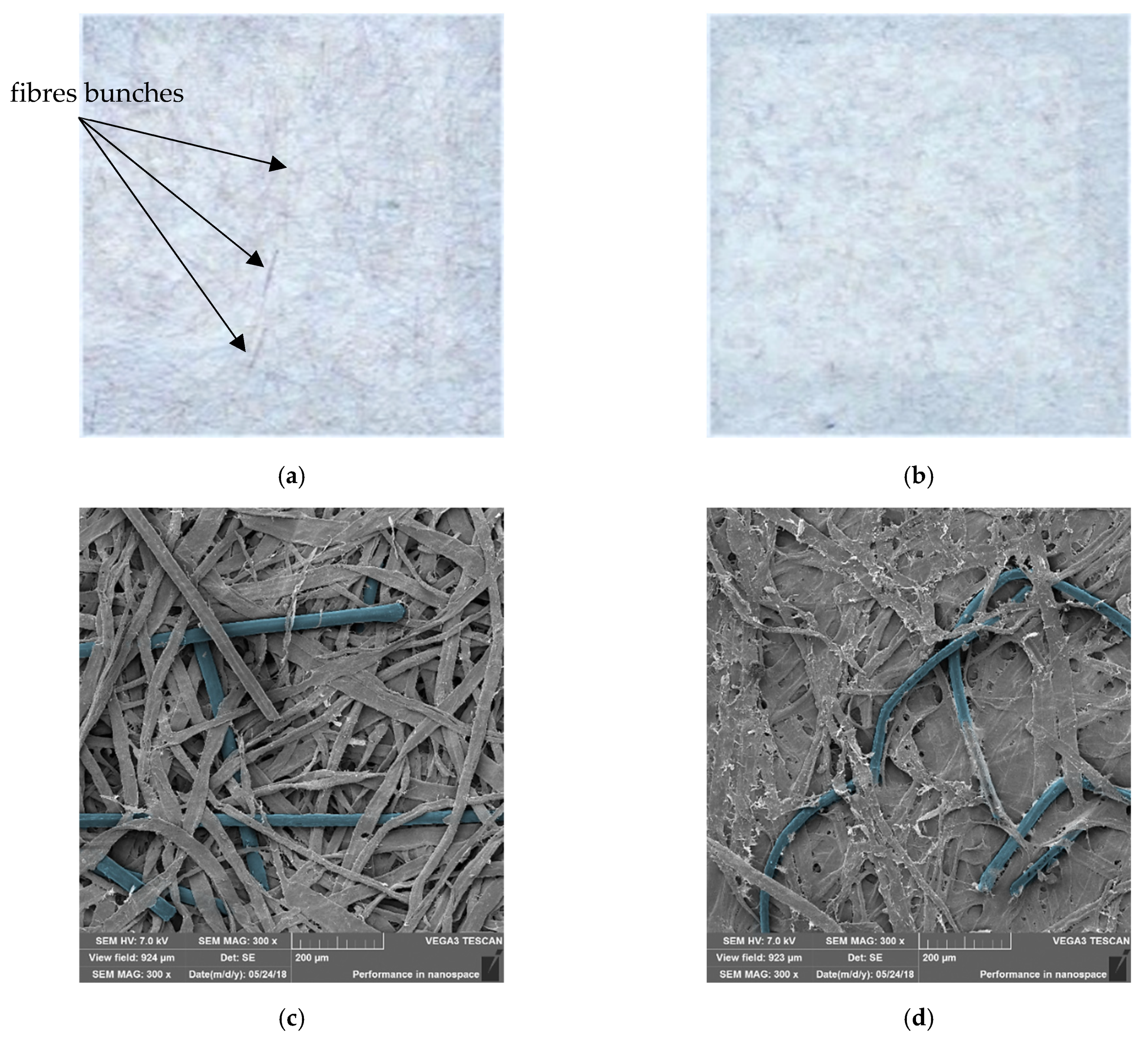 Materials 14 04006 g007