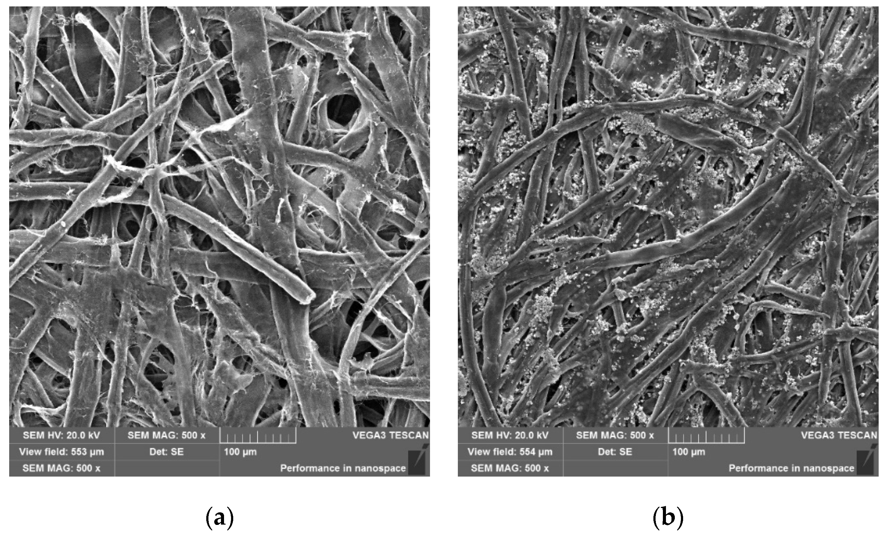 Materials 14 04006 g012