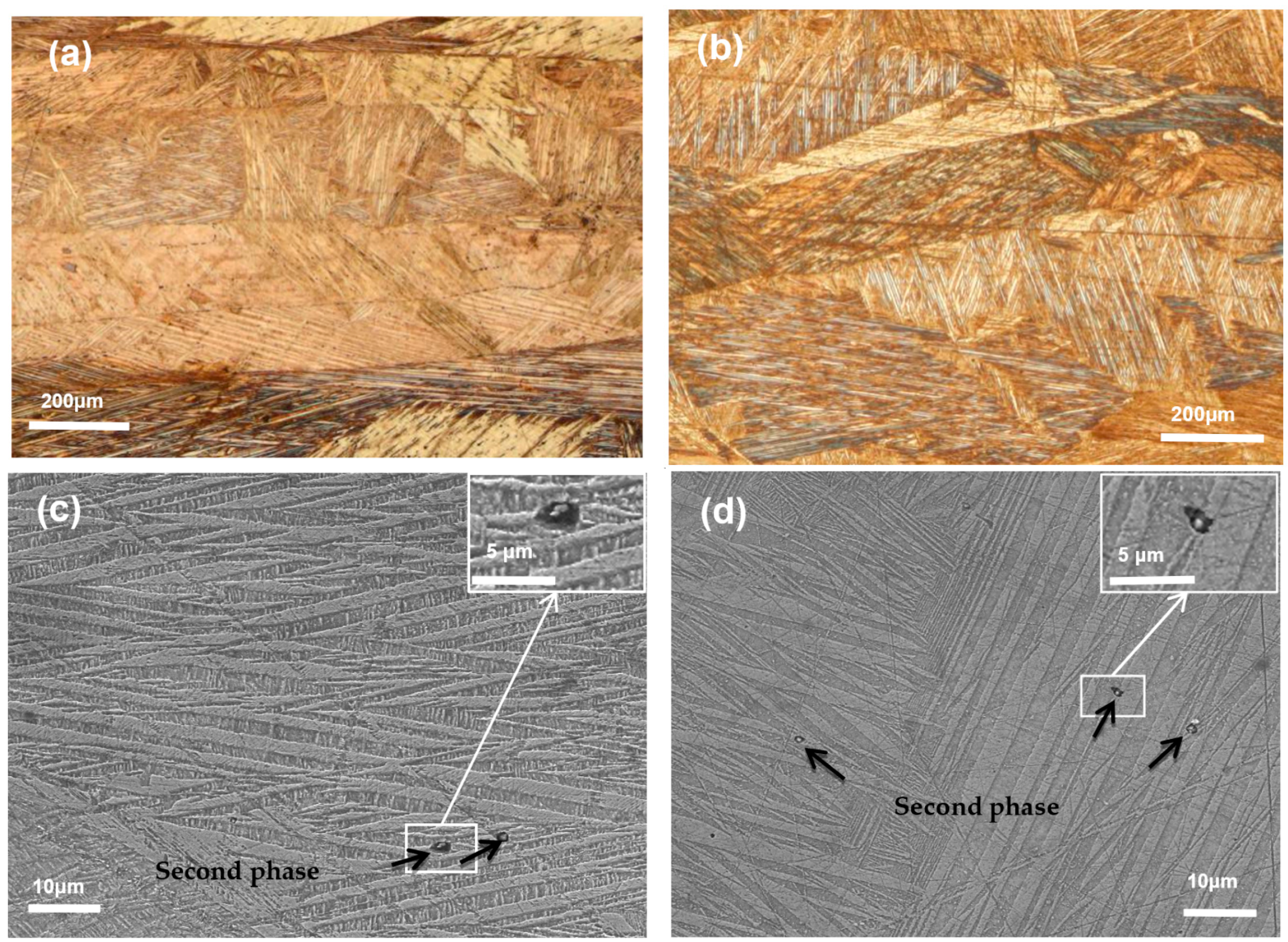 Materials 14 04007 g001