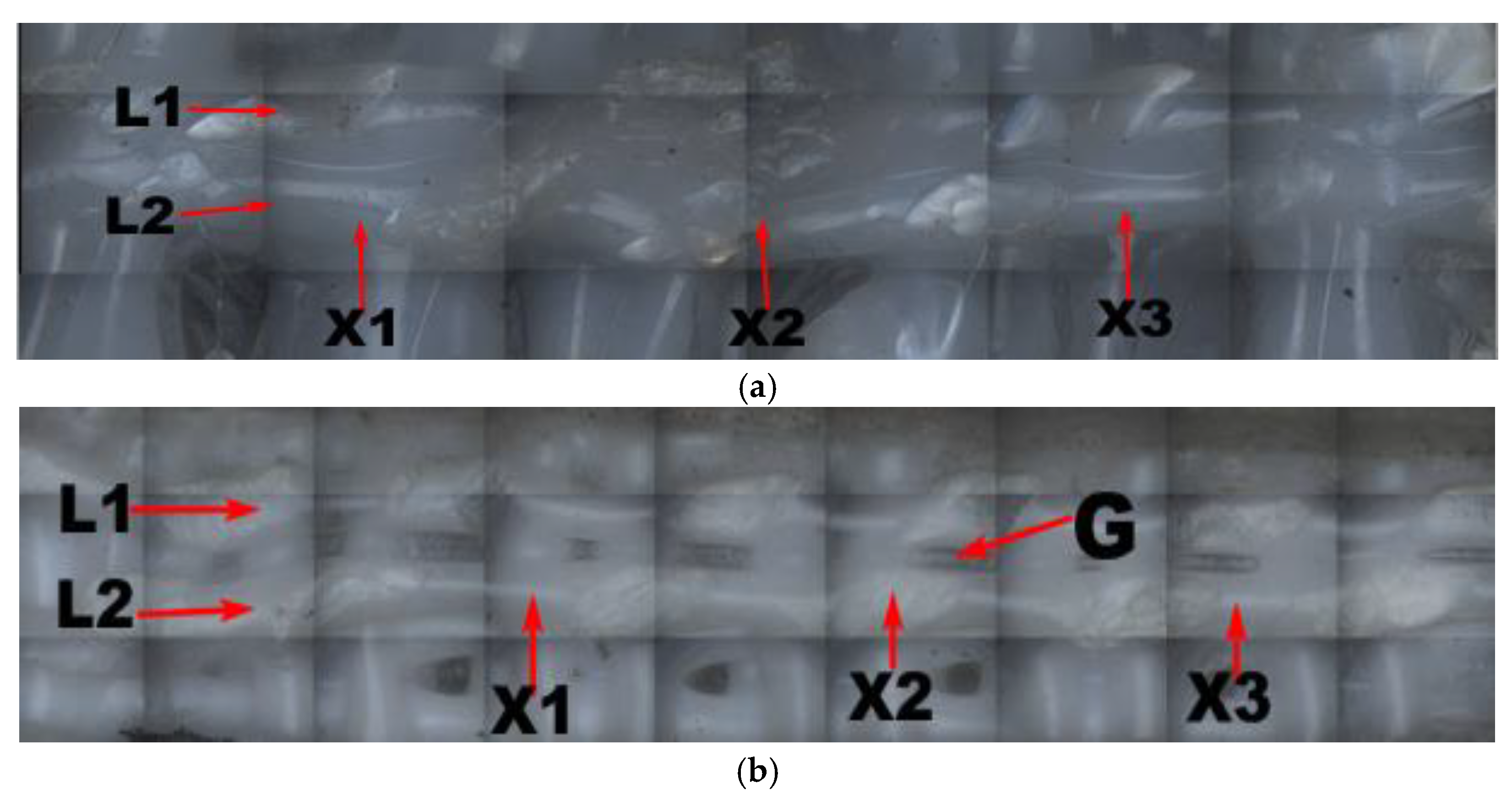Materials 14 04008 g010a