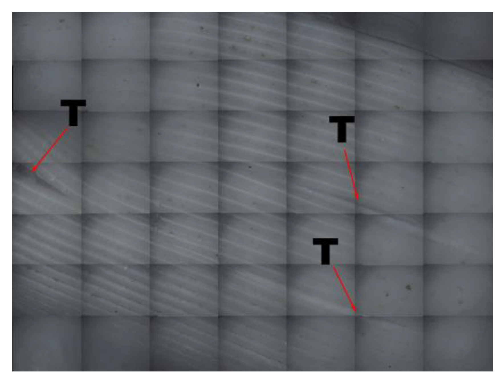 Materials 14 04008 g017